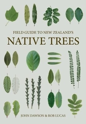 NZ Native Trees NZ Native Trees
