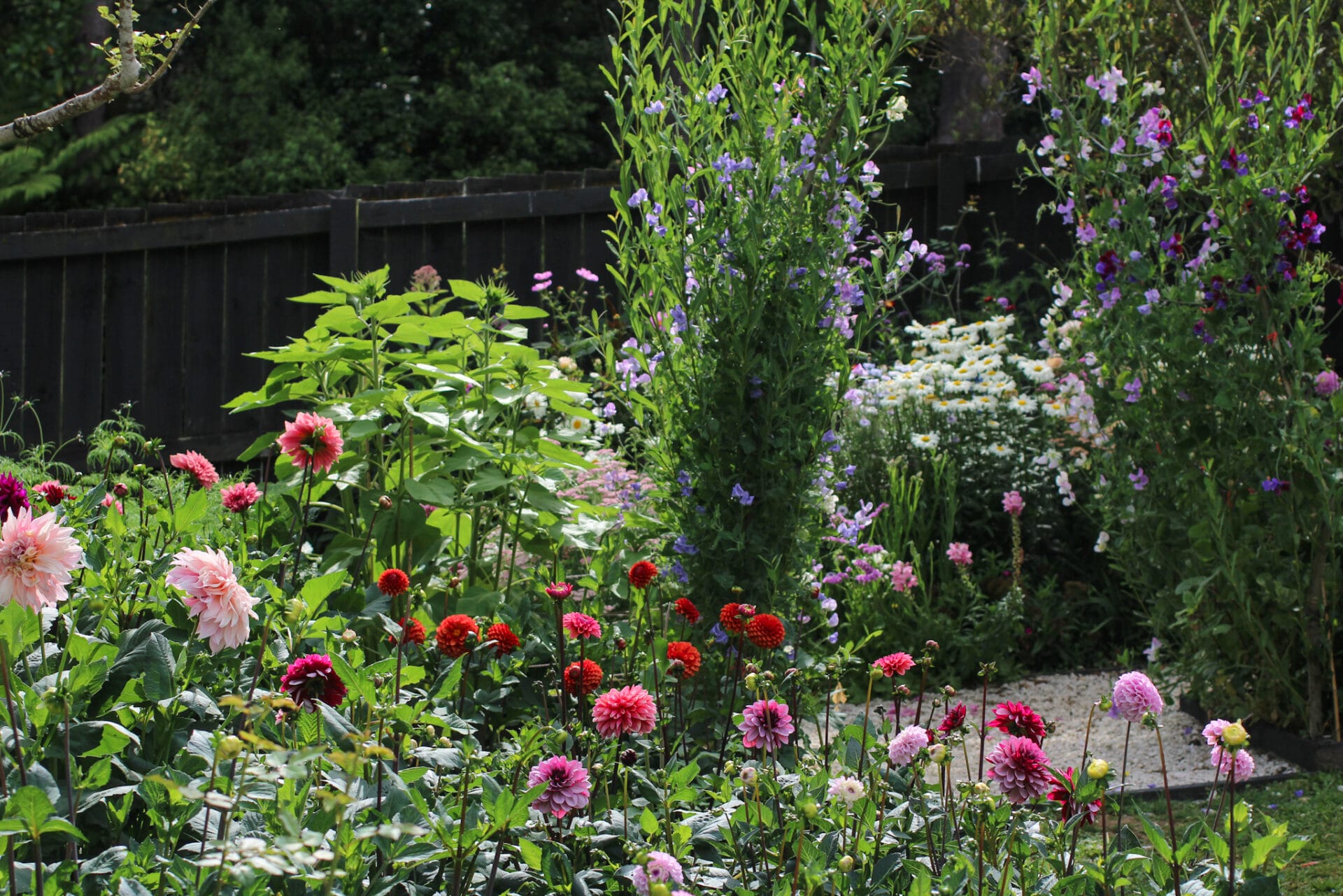 Sheet mulched beds