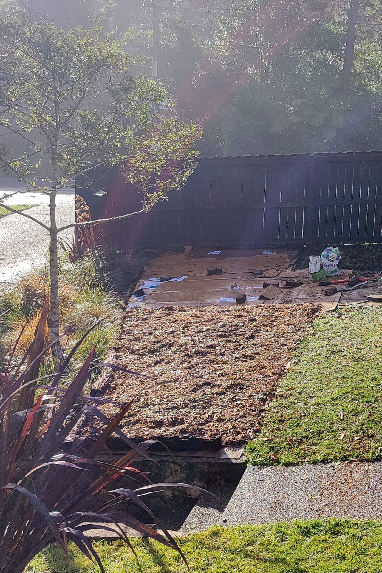 new garden using sheet mulching