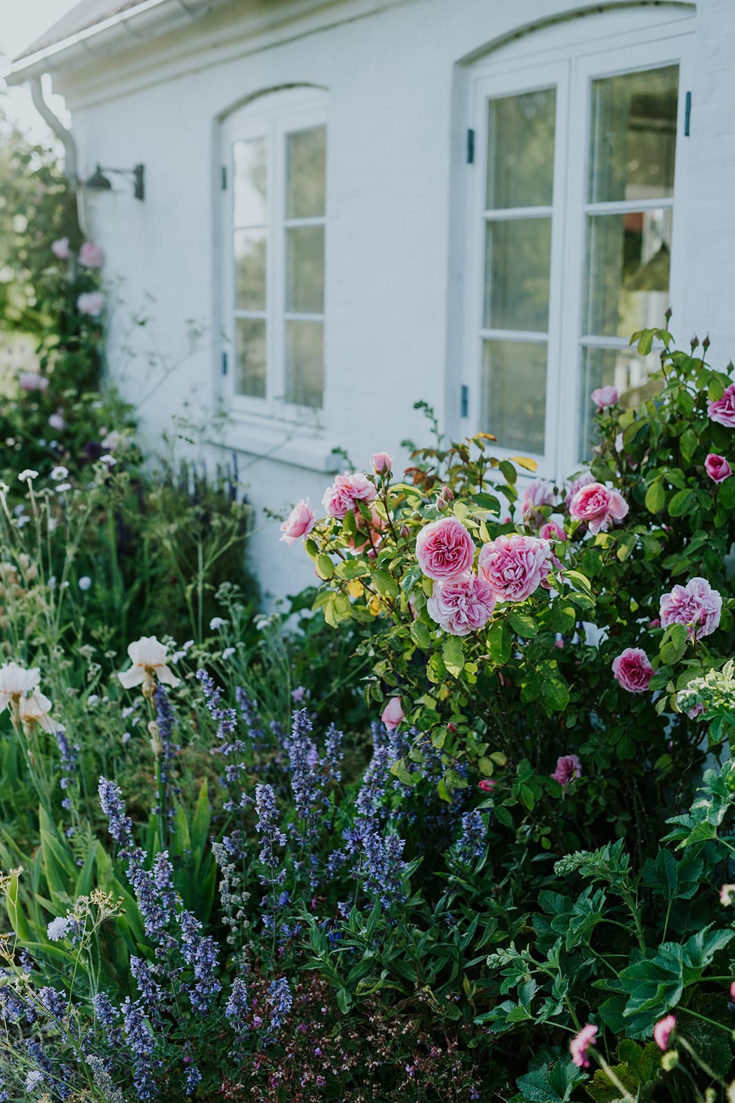 Camilla Garden May into June