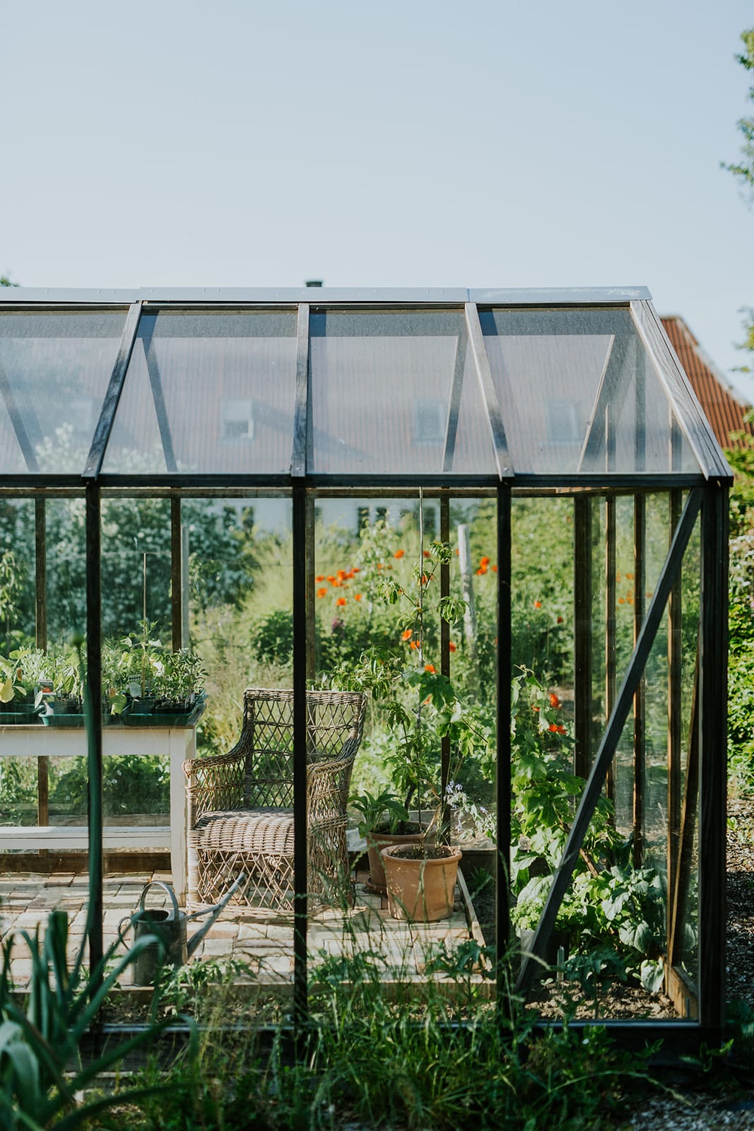 Camilla Garden May into June