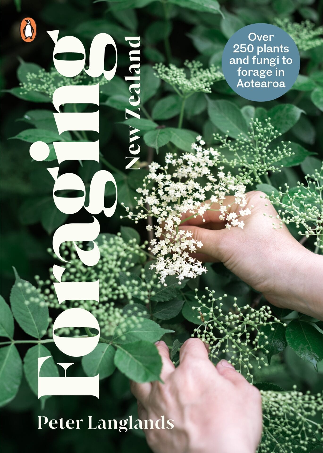 Foraging NZ Foraging NZ