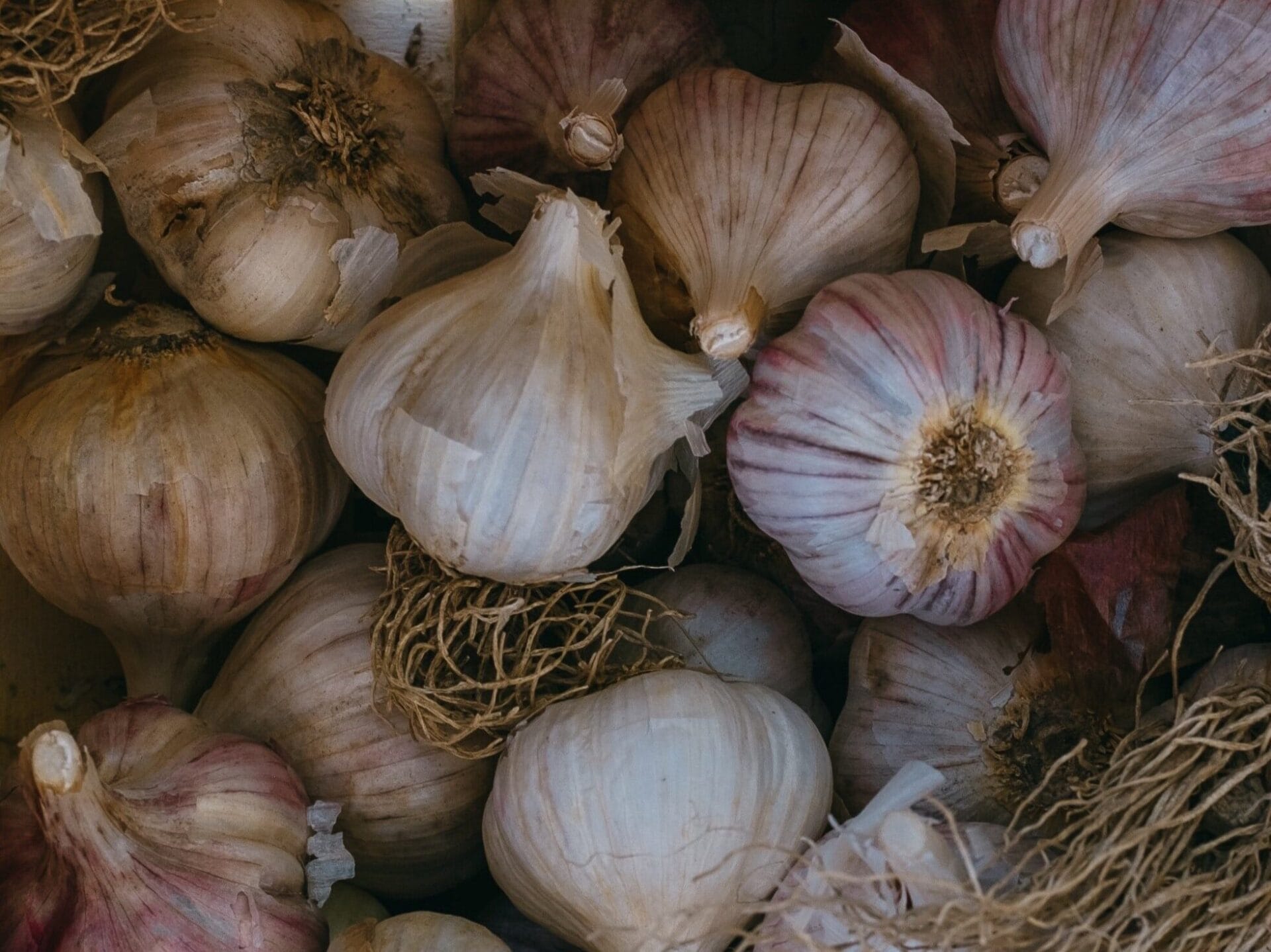 June - Winter Gardening Series