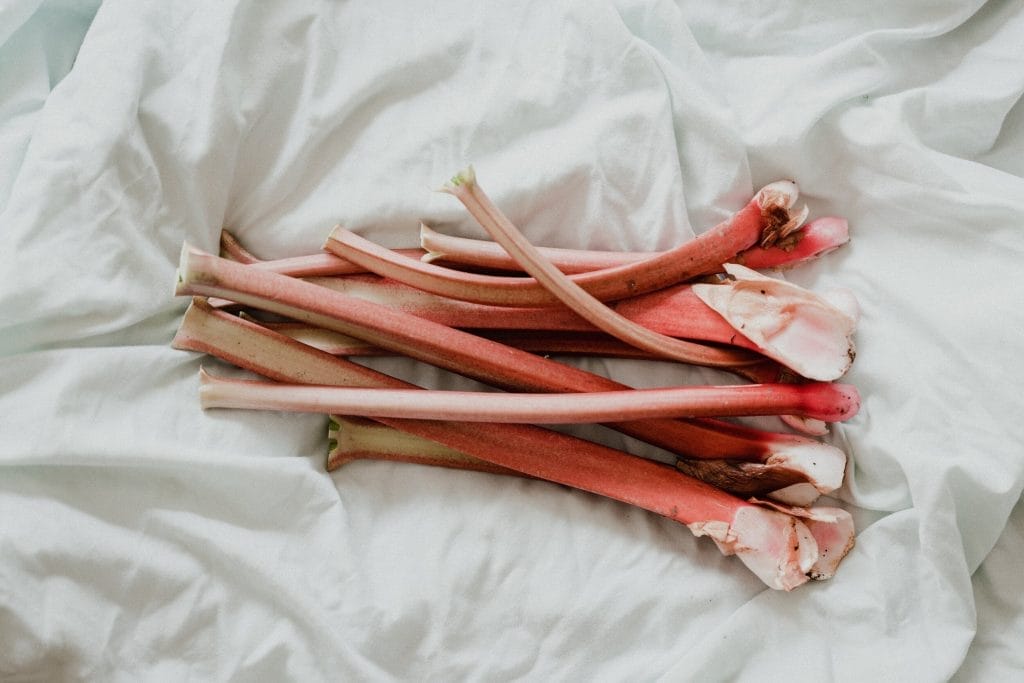 July Gardening Guide