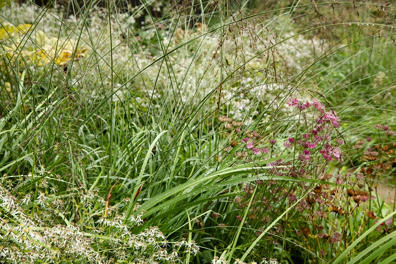 IMG_0805