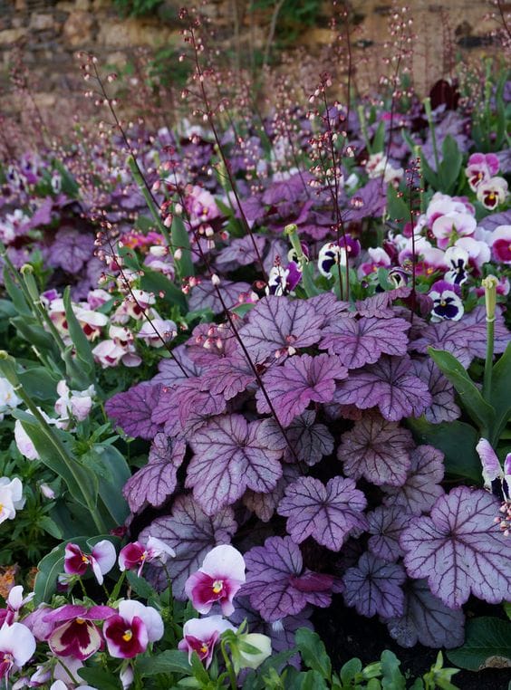Potted colour winter gardening Potted colour winter gardening
