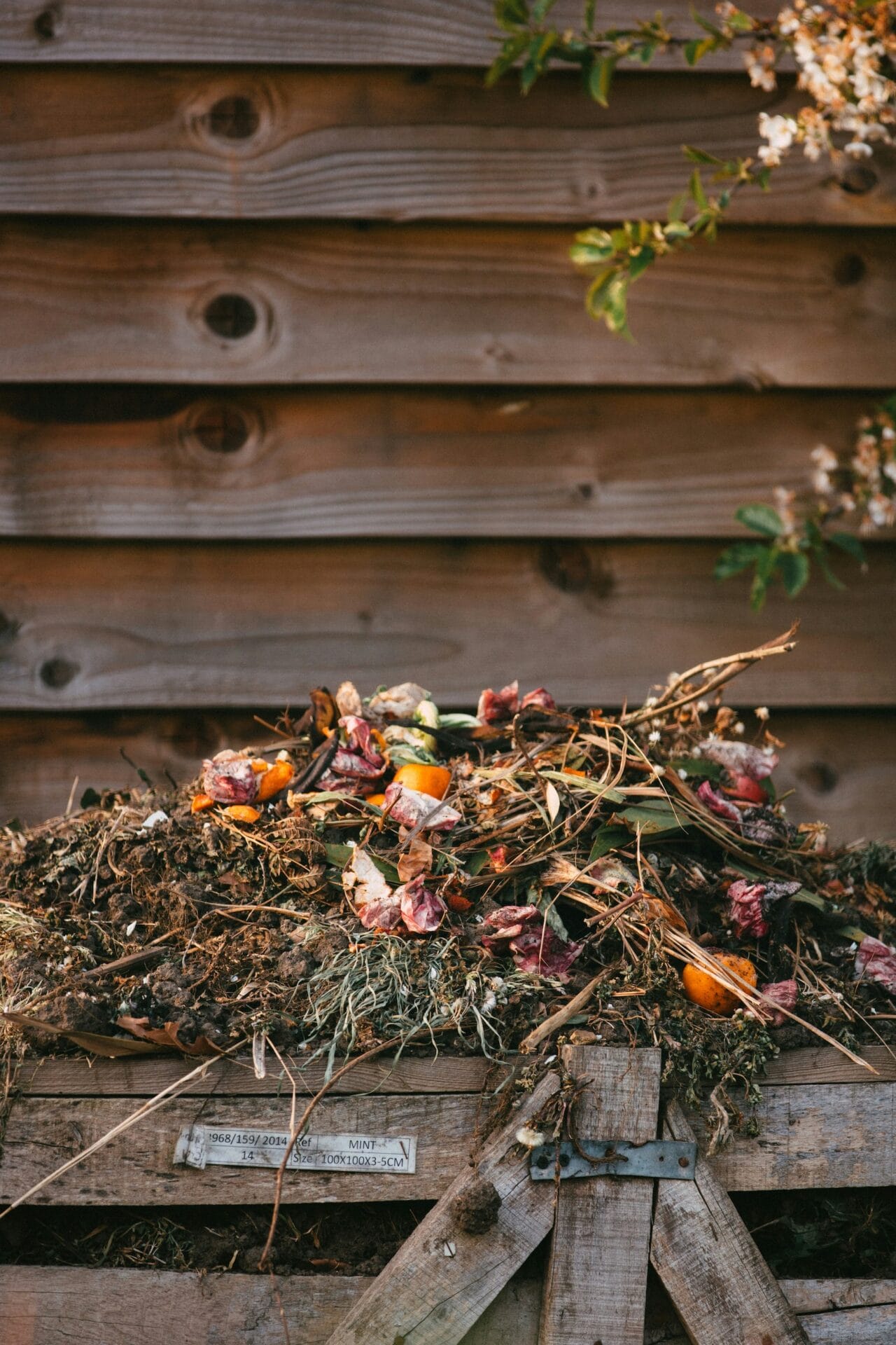 How to improve your soil with organic matter