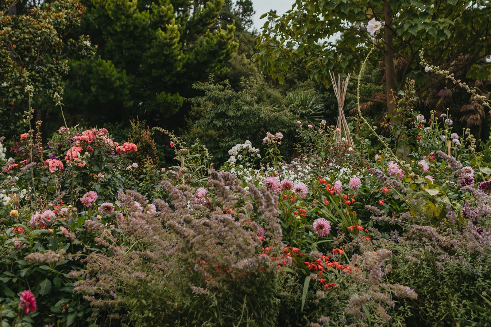 Paula Kelly - Pegasus Bay Gardener