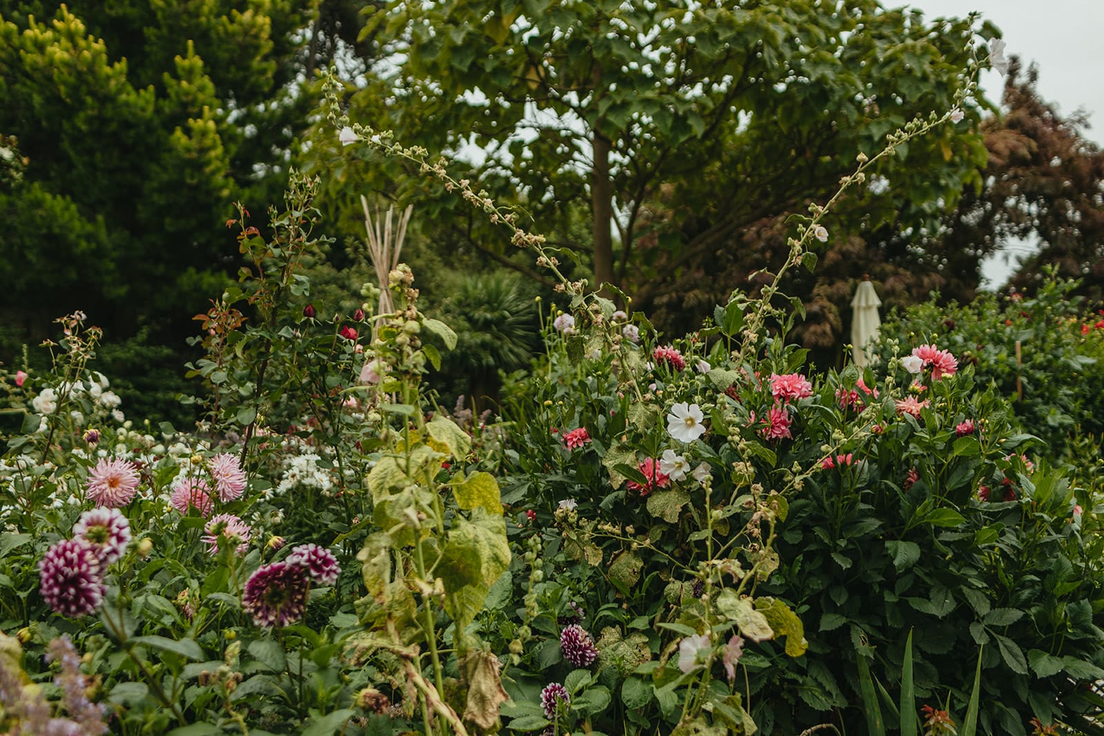Paula Kelly - Pegasus Bay Gardener