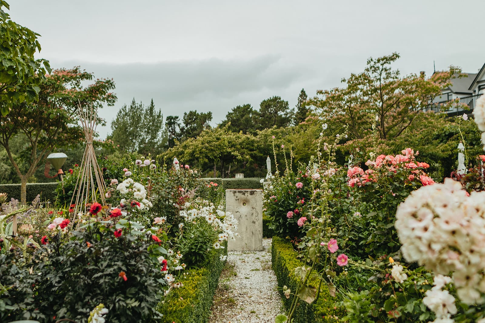 Paula Kelly - Pegasus Bay Gardener