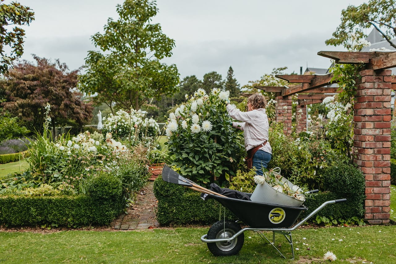 Paula Kelly - Pegasus Bay Gardener
