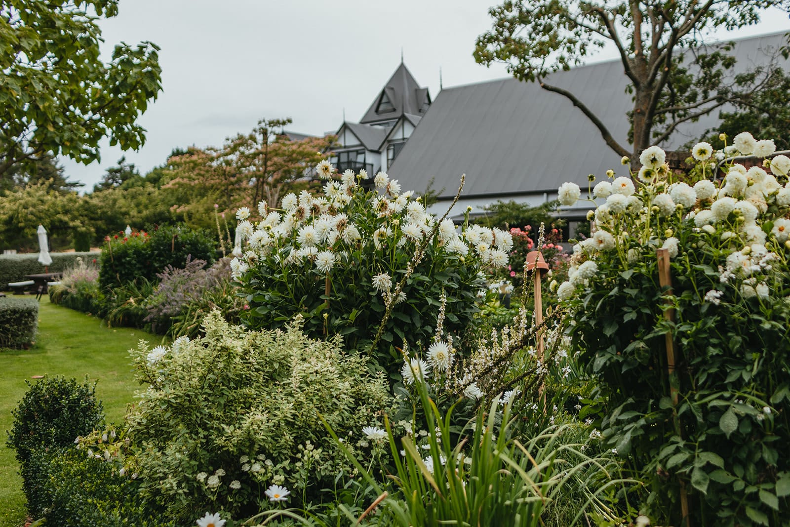 Paula Kelly - Pegasus Bay Gardener