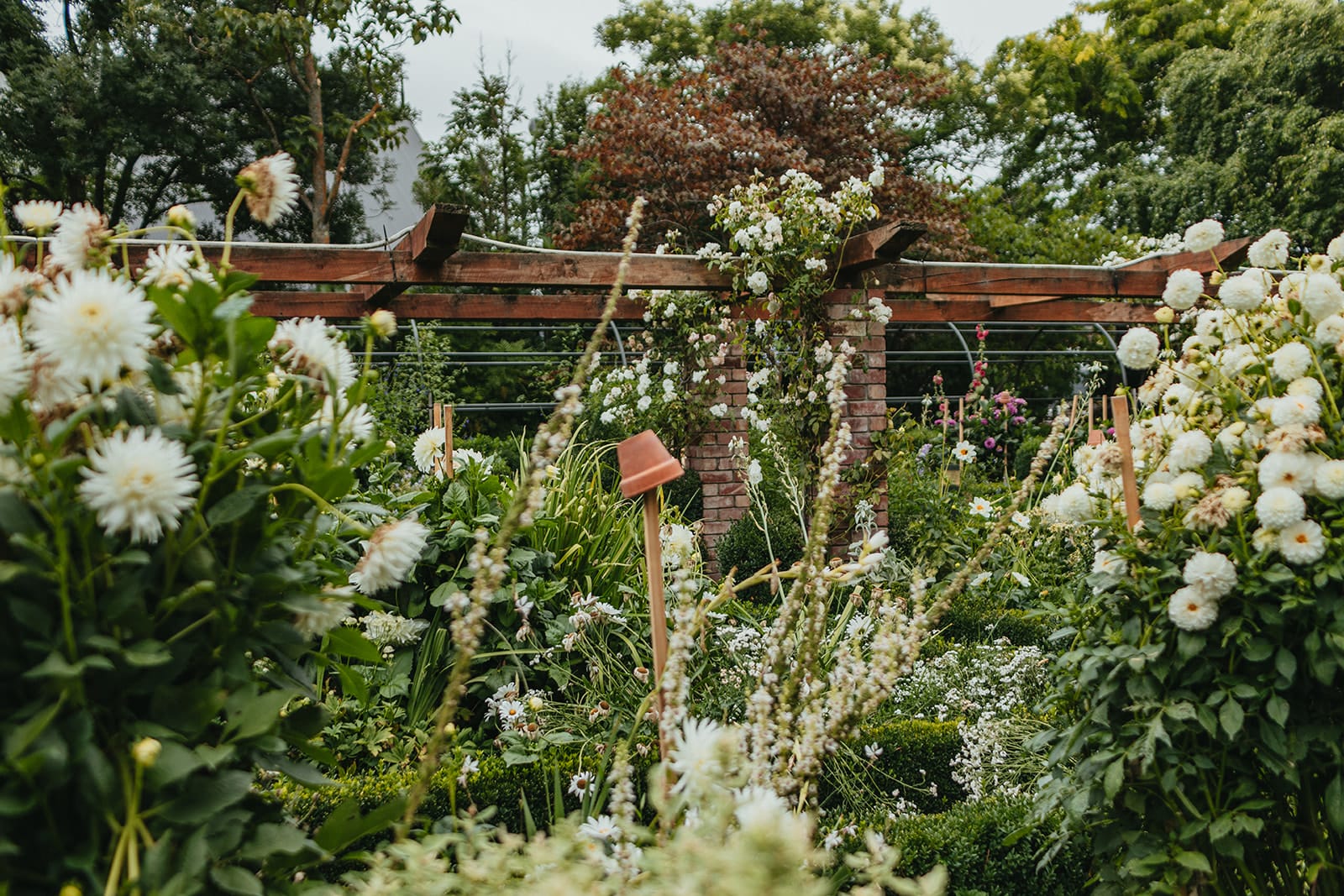 Paula Kelly - Pegasus Bay Gardener