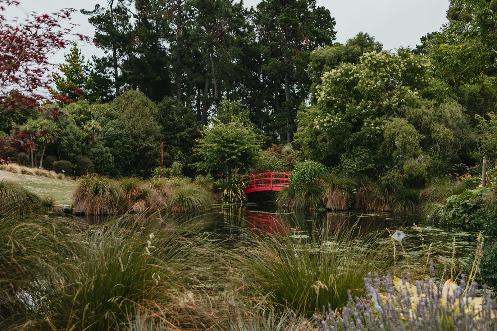 Paula Kelly - Pegasus Bay Gardener
