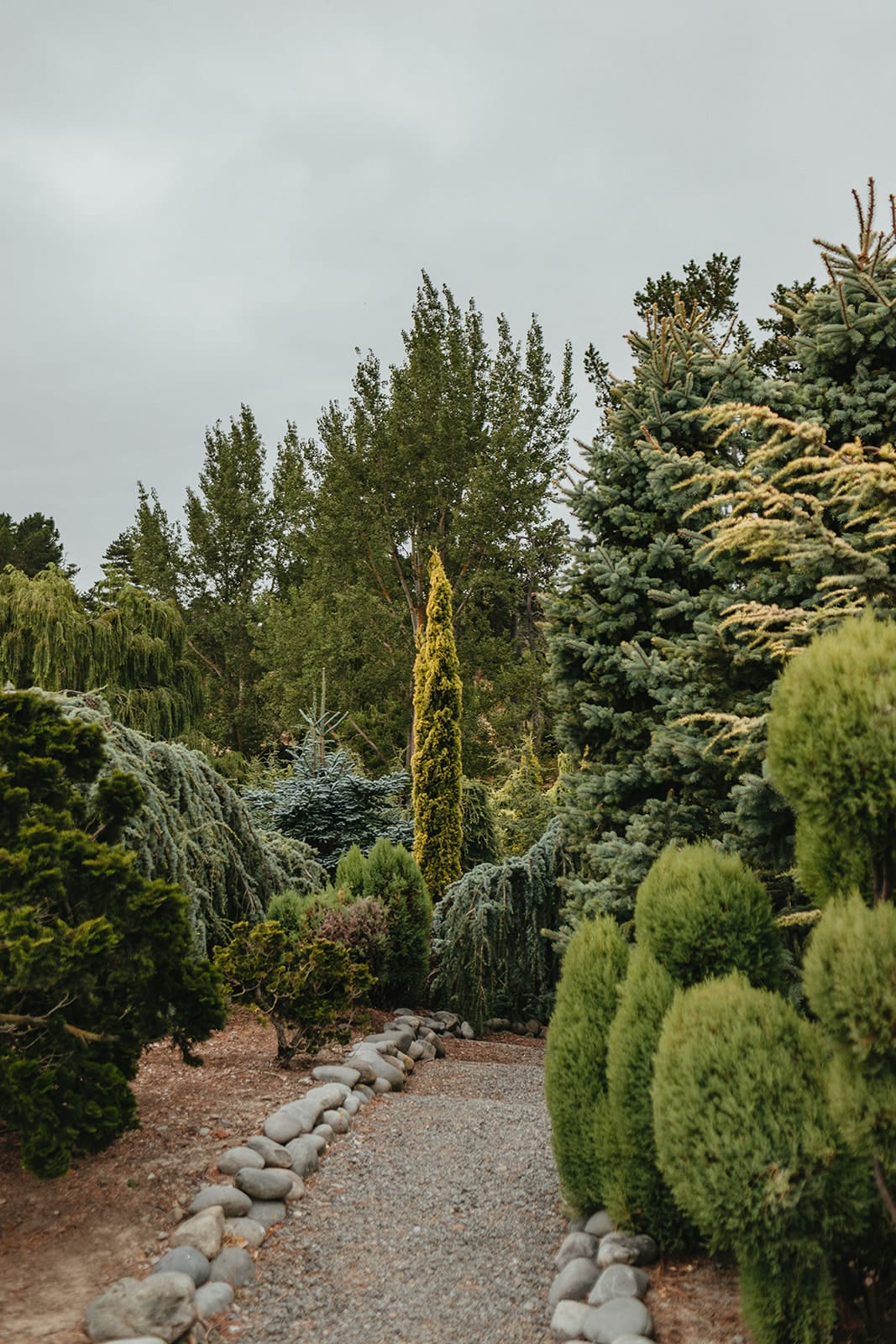 Paula Kelly - Pegasus Bay Gardener