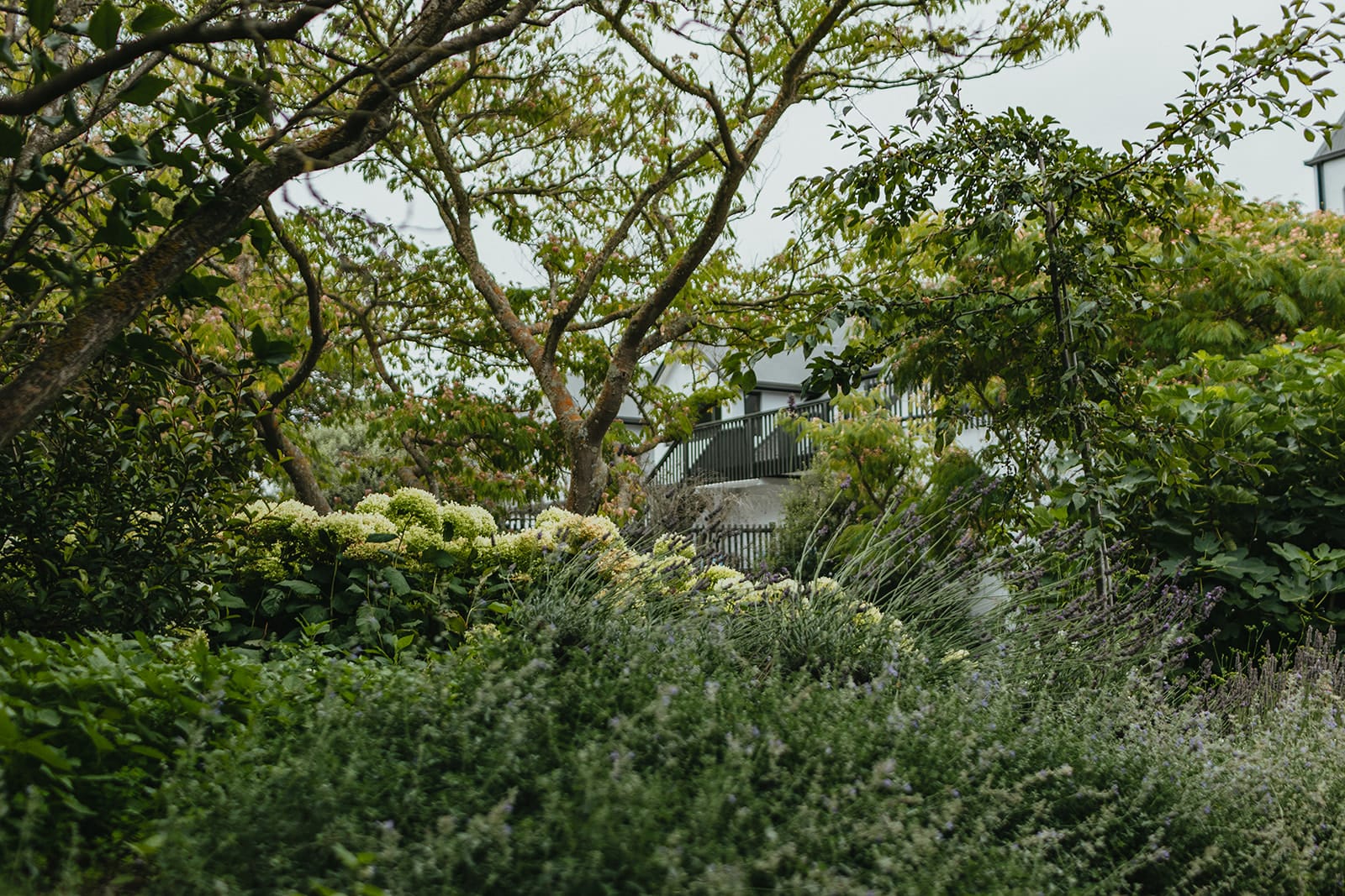 Paula Kelly - Pegasus Bay Gardener