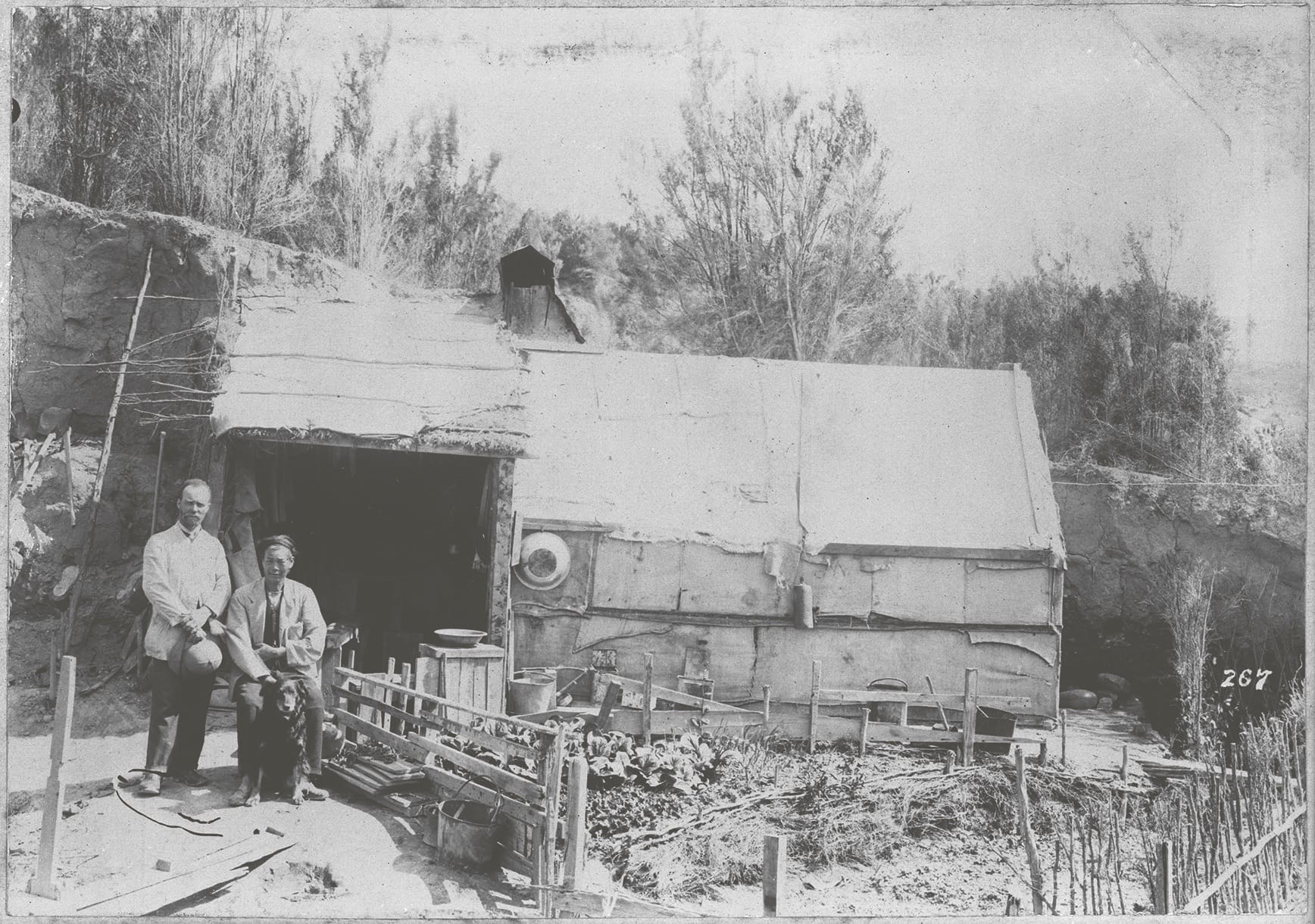 Figure 3.11 A Chinese man with Presbyterian missionary and writer Alexander Don beside a dwelling and vegetable garden in Waikaia, c. 1900. (Unknown photographer, McNeur Collection: Photographs of Chinese goldminers who worked in Otago and Southland goldfields, Alexander Turnbull Library, 1/2-019146-F.)