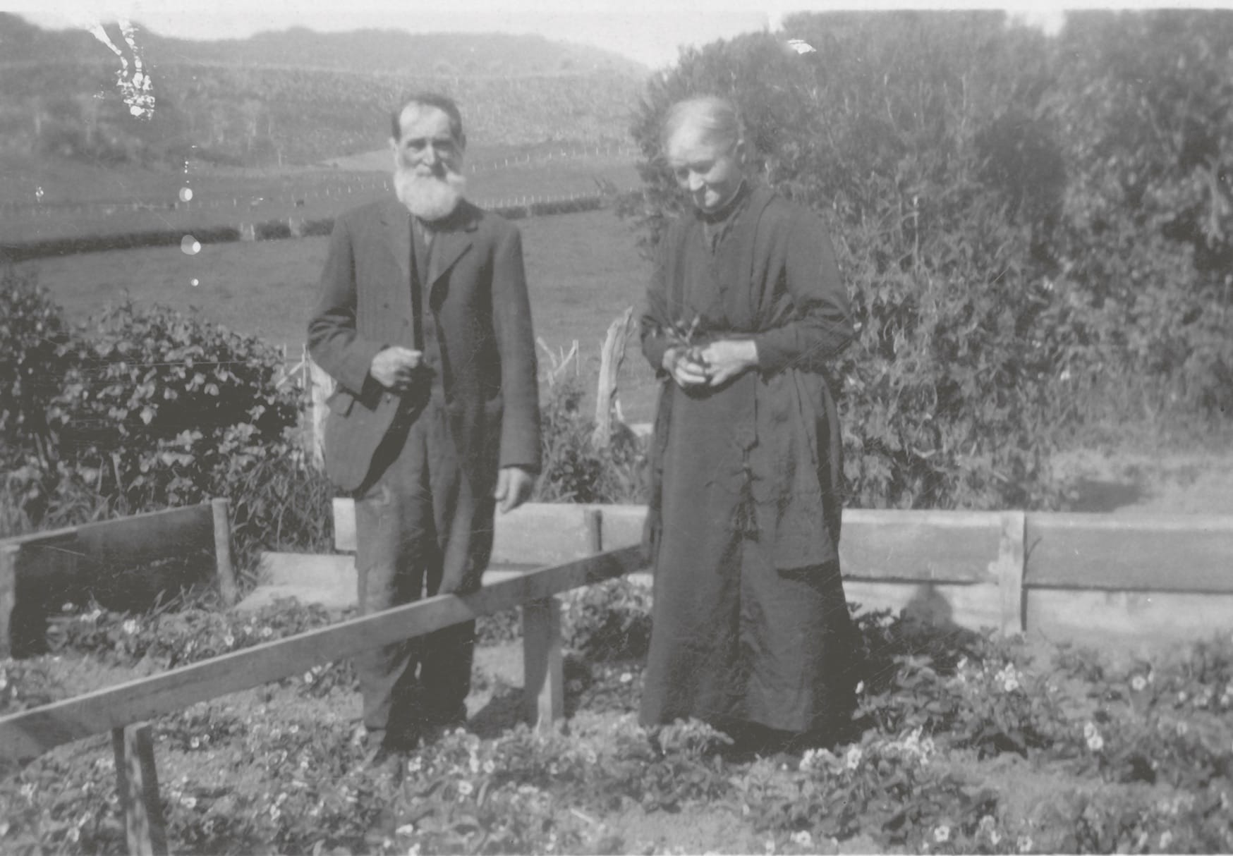 Figure 3.12 Mr and Mrs Friend standing in their vegetable garden at Tahatika, Otago, in the early 1900s. Their daughter later wrote that her father was ‘a wonderful man. Everything he did was neat. His vegetable garden was lovely to look at, all the rows straight and even’. (Unknown photographer, Owaka Museum, CT82.1464e.)