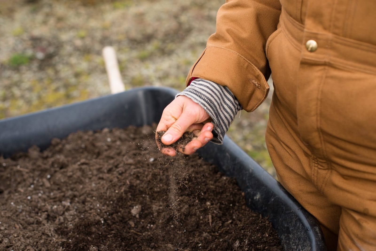 How to improve your soil