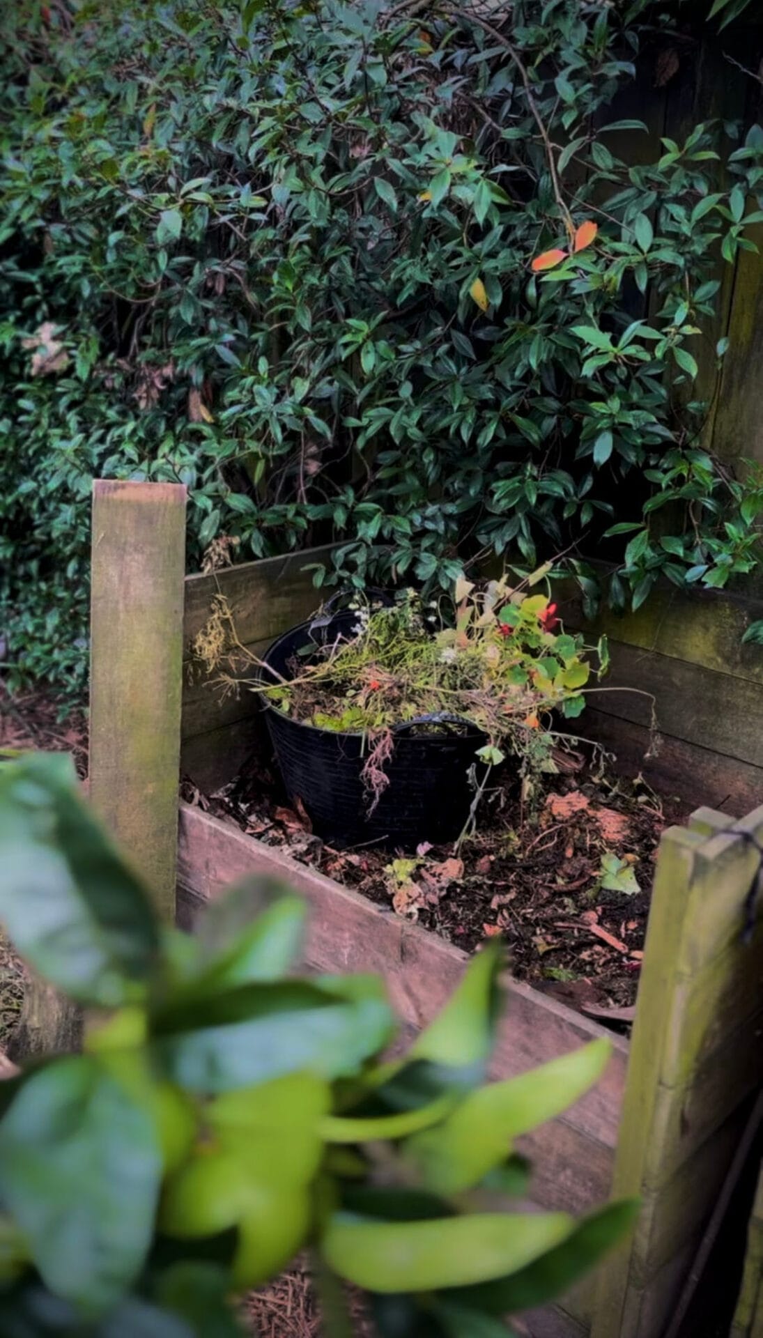 Going to ground - Winter gardening