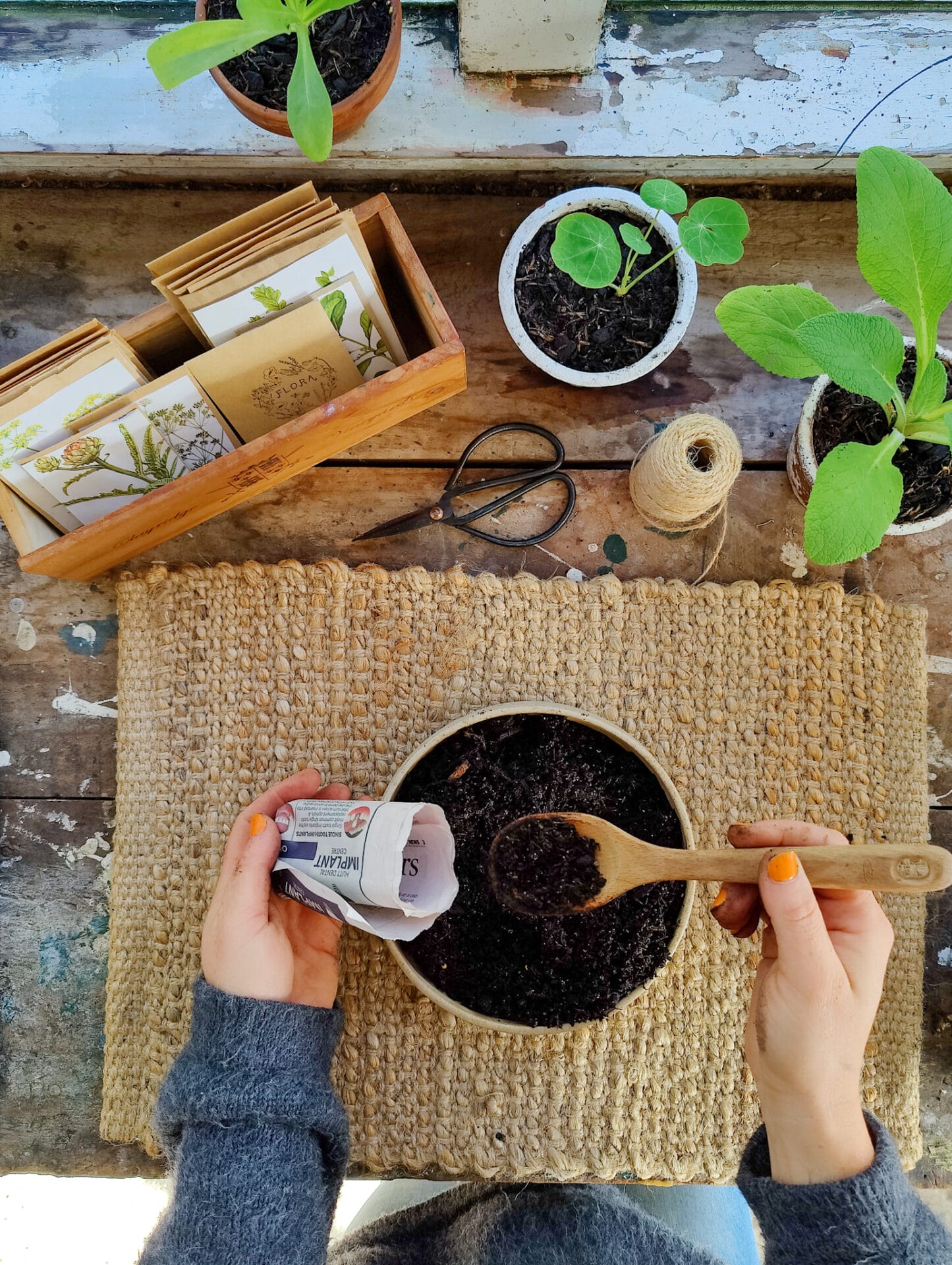 How to use paper seedling pots How to use paper seedling pots