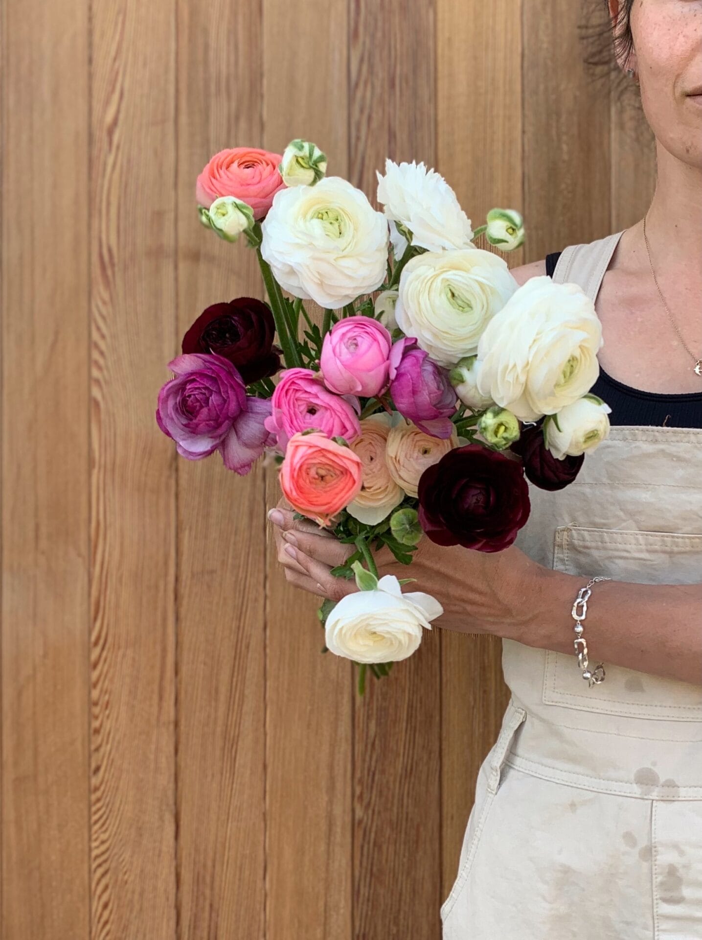 Ranunculus Ranunculus