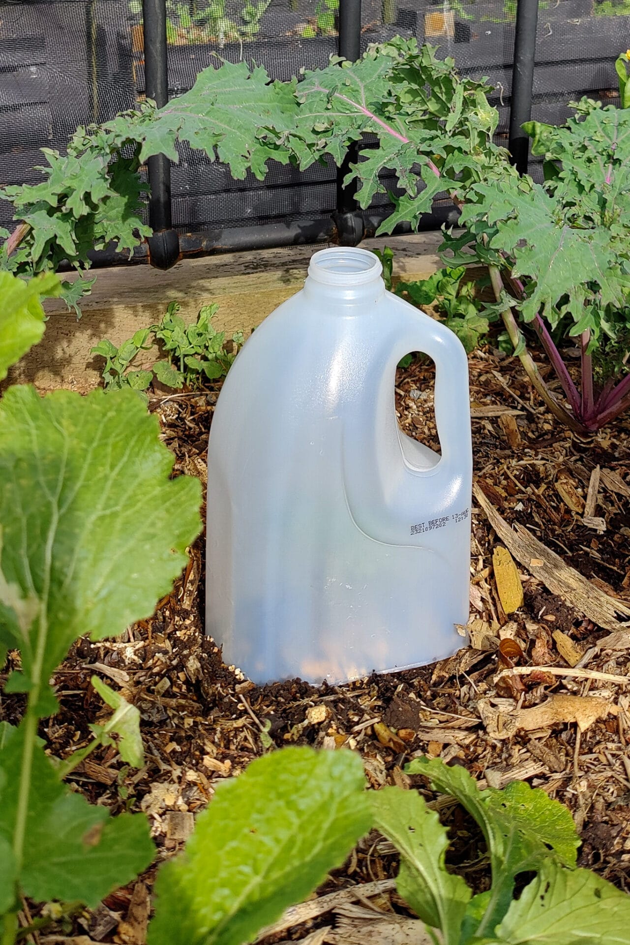Elly Keen | Milk Bottle Cloche Elly Keen | Milk Bottle Cloche