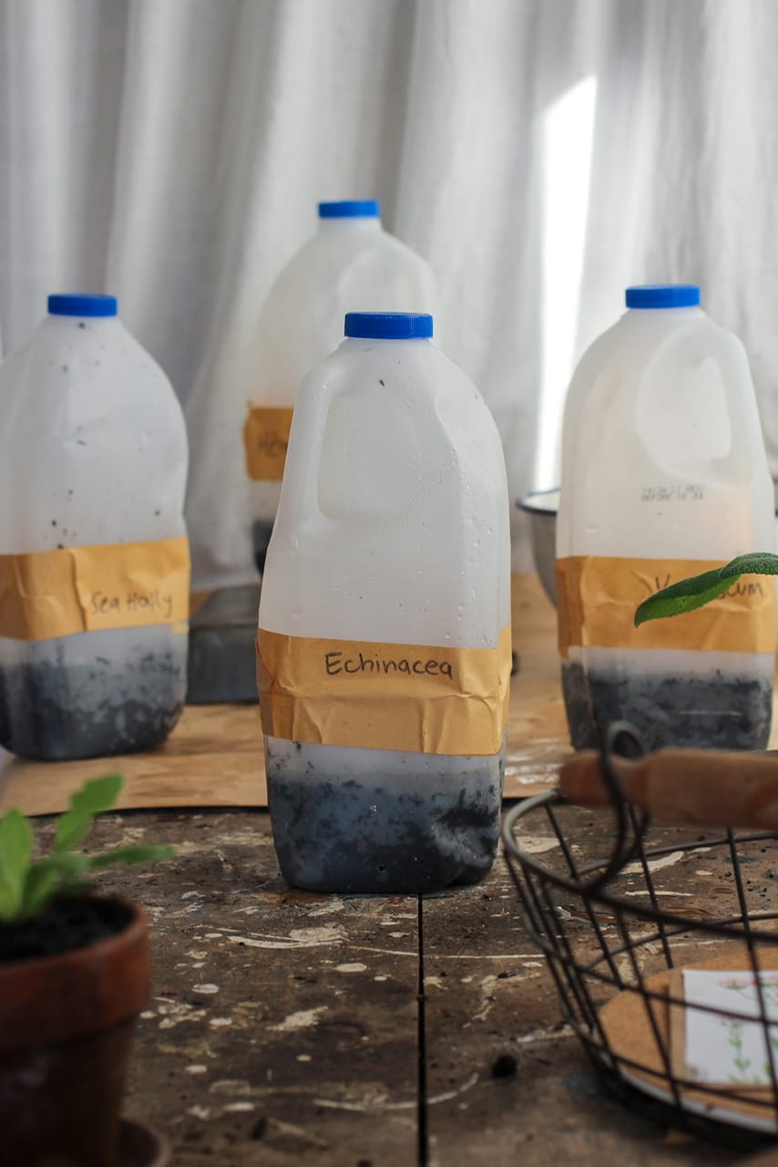 Milk Bottle Sowing with Elly Keen Milk Bottle Sowing with Elly Keen
