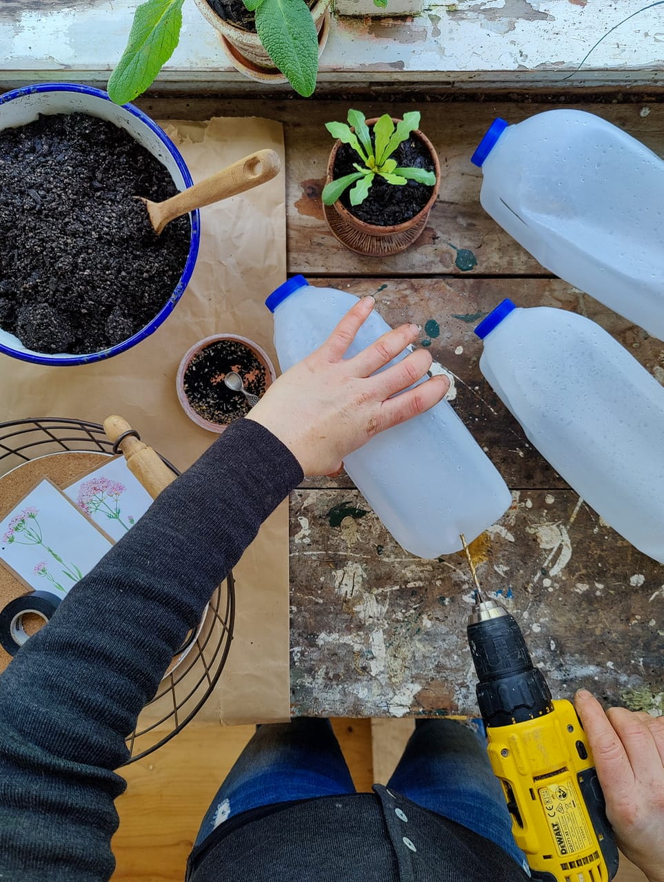 Milk Bottle Sowing with Elly Keen Milk Bottle Sowing with Elly Keen