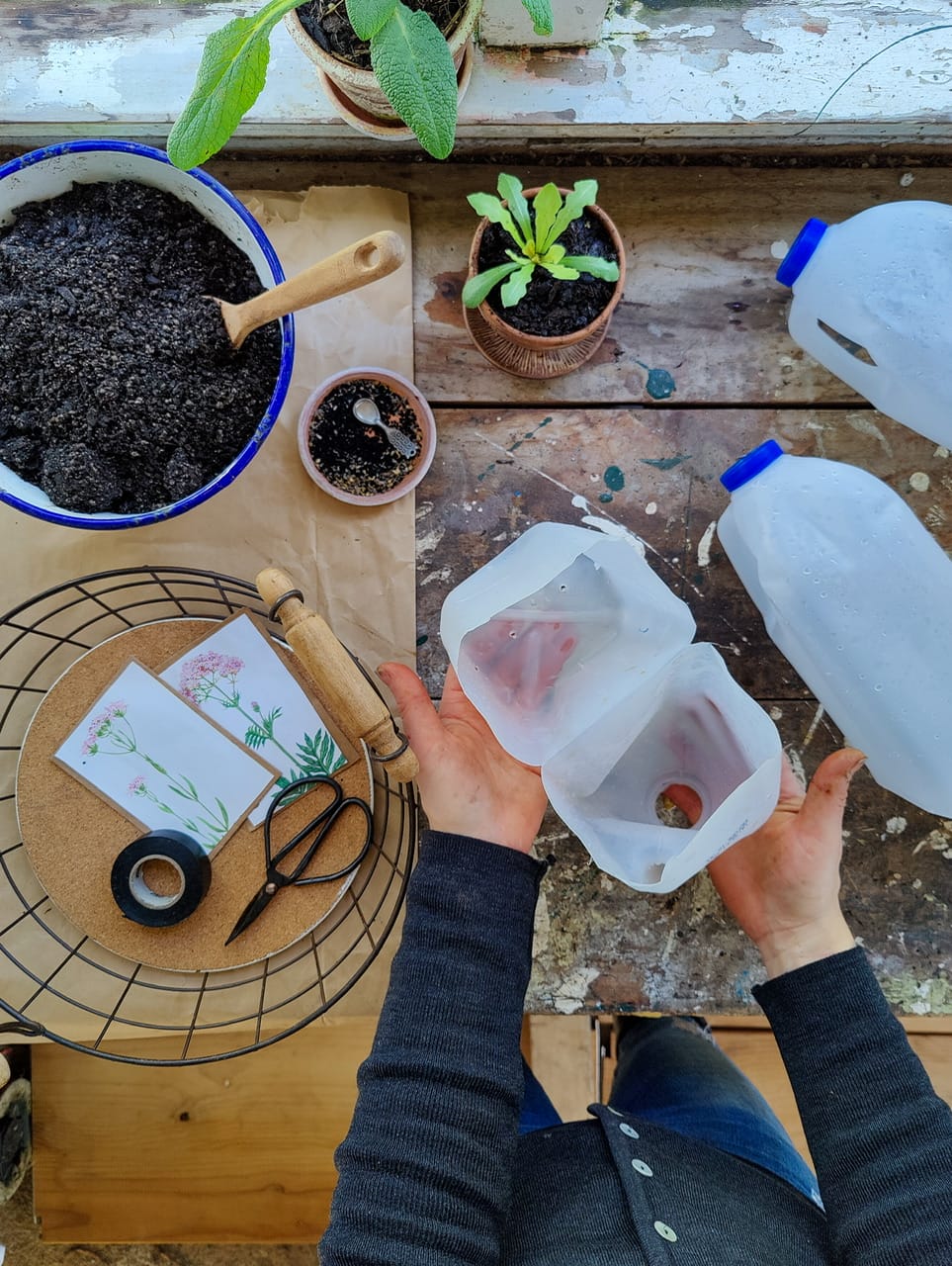 Milk Bottle Sowing with Elly Keen Milk Bottle Sowing with Elly Keen