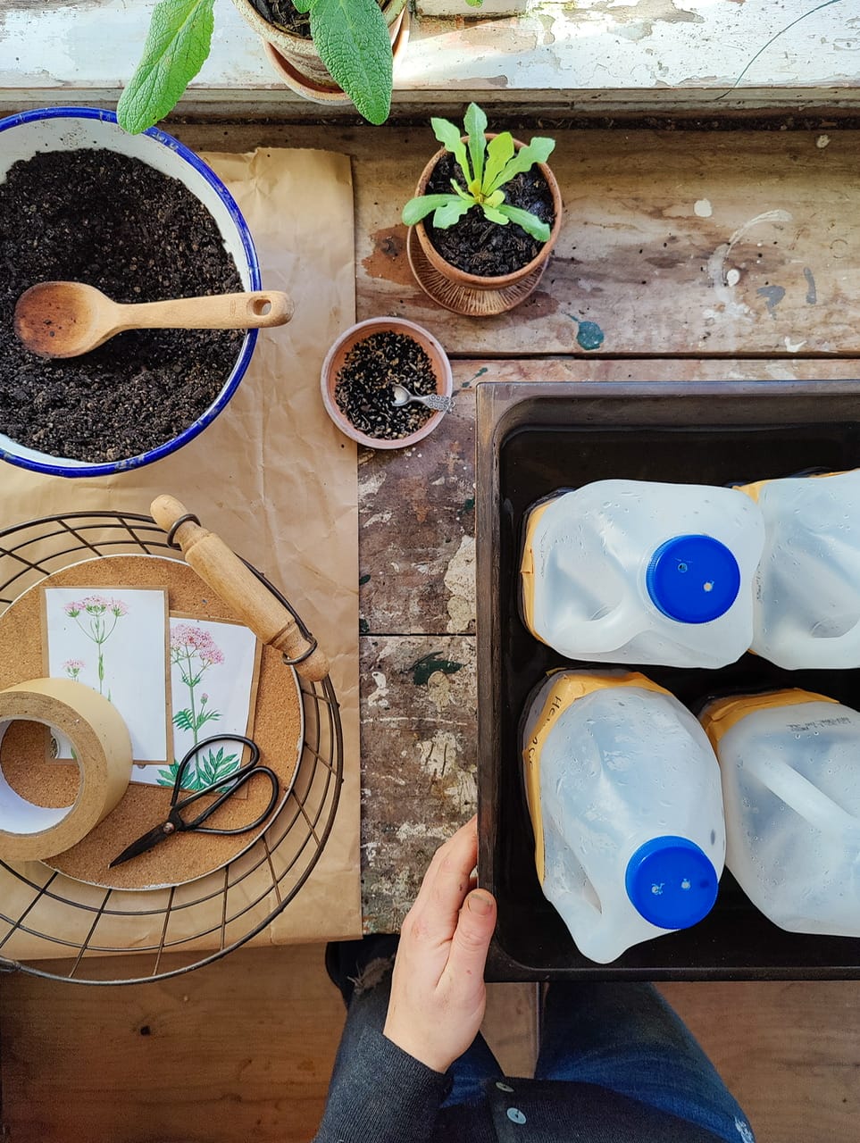 Milk Bottle Sowing with Elly Keen Milk Bottle Sowing with Elly Keen