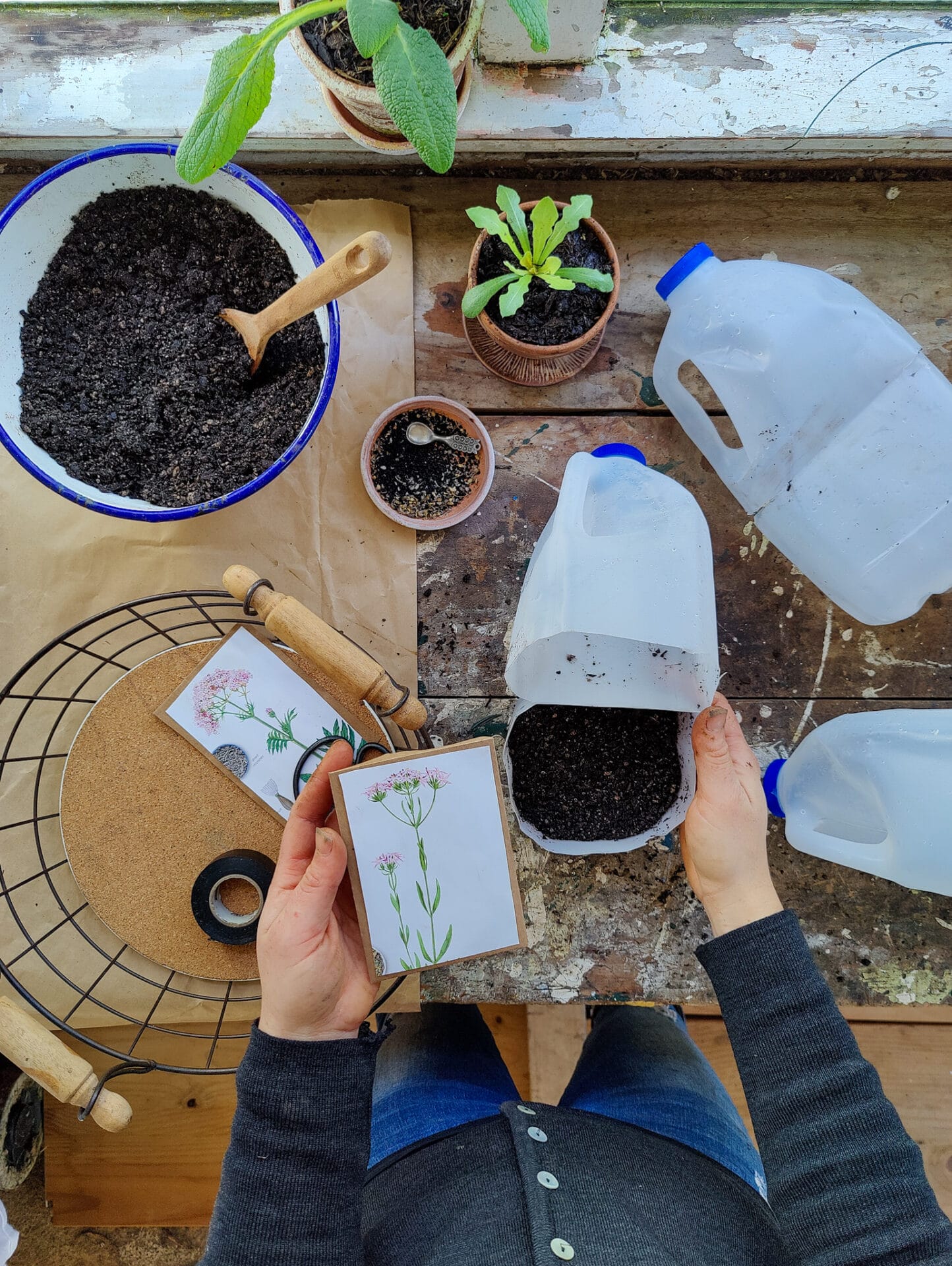 Milk bottle seed sowing with elly keen
