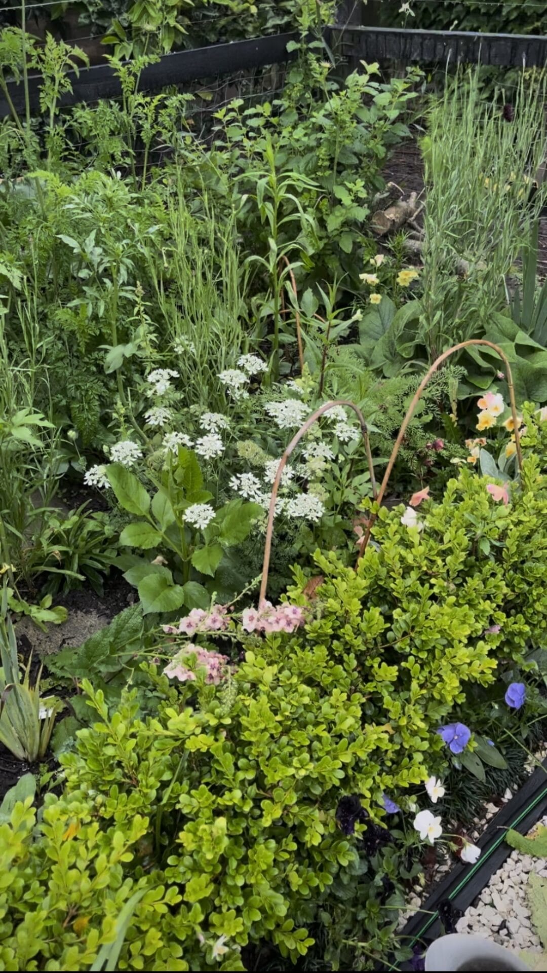 Spring Gardening Series
