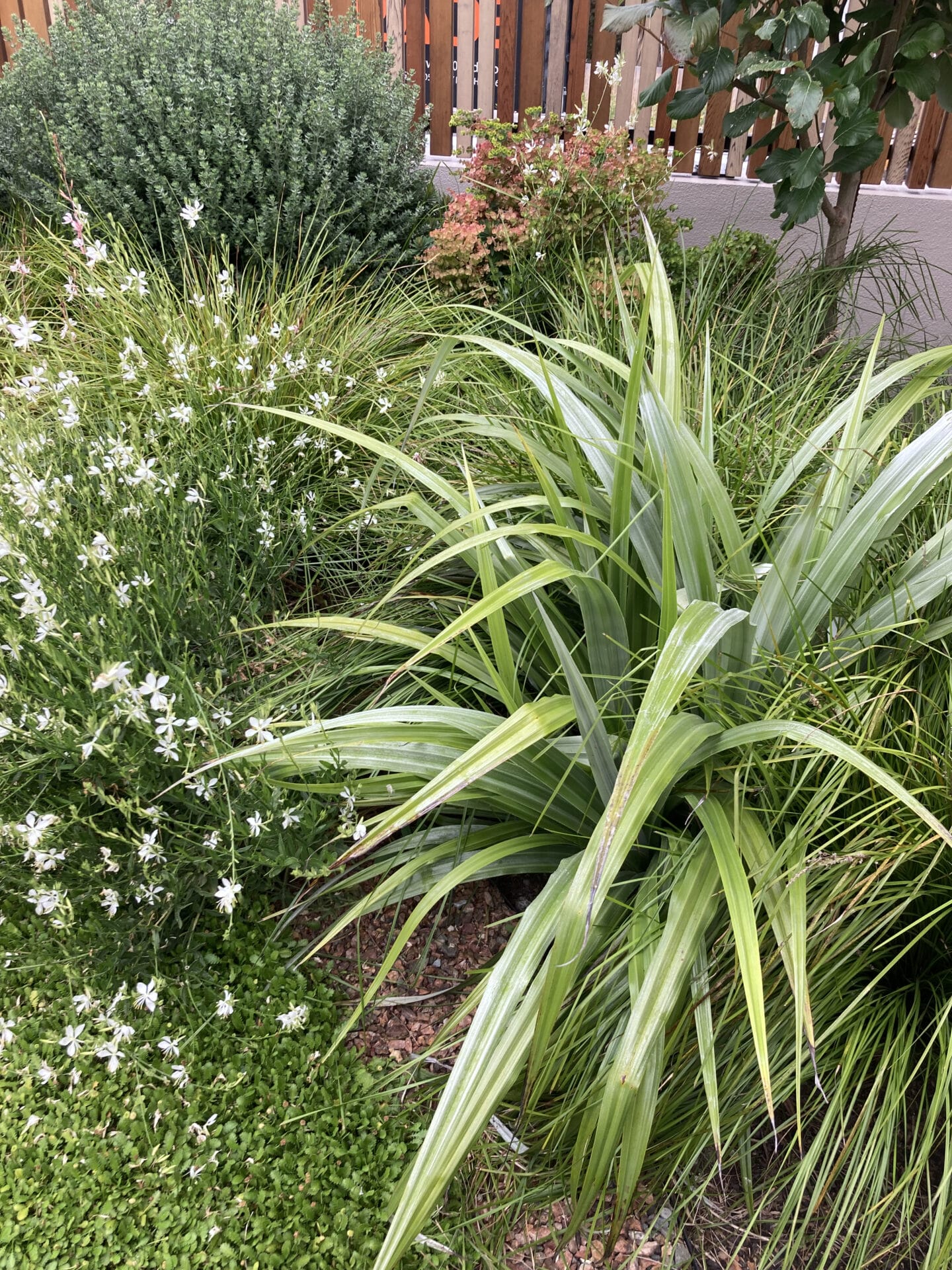 Botanic Landscape Architects