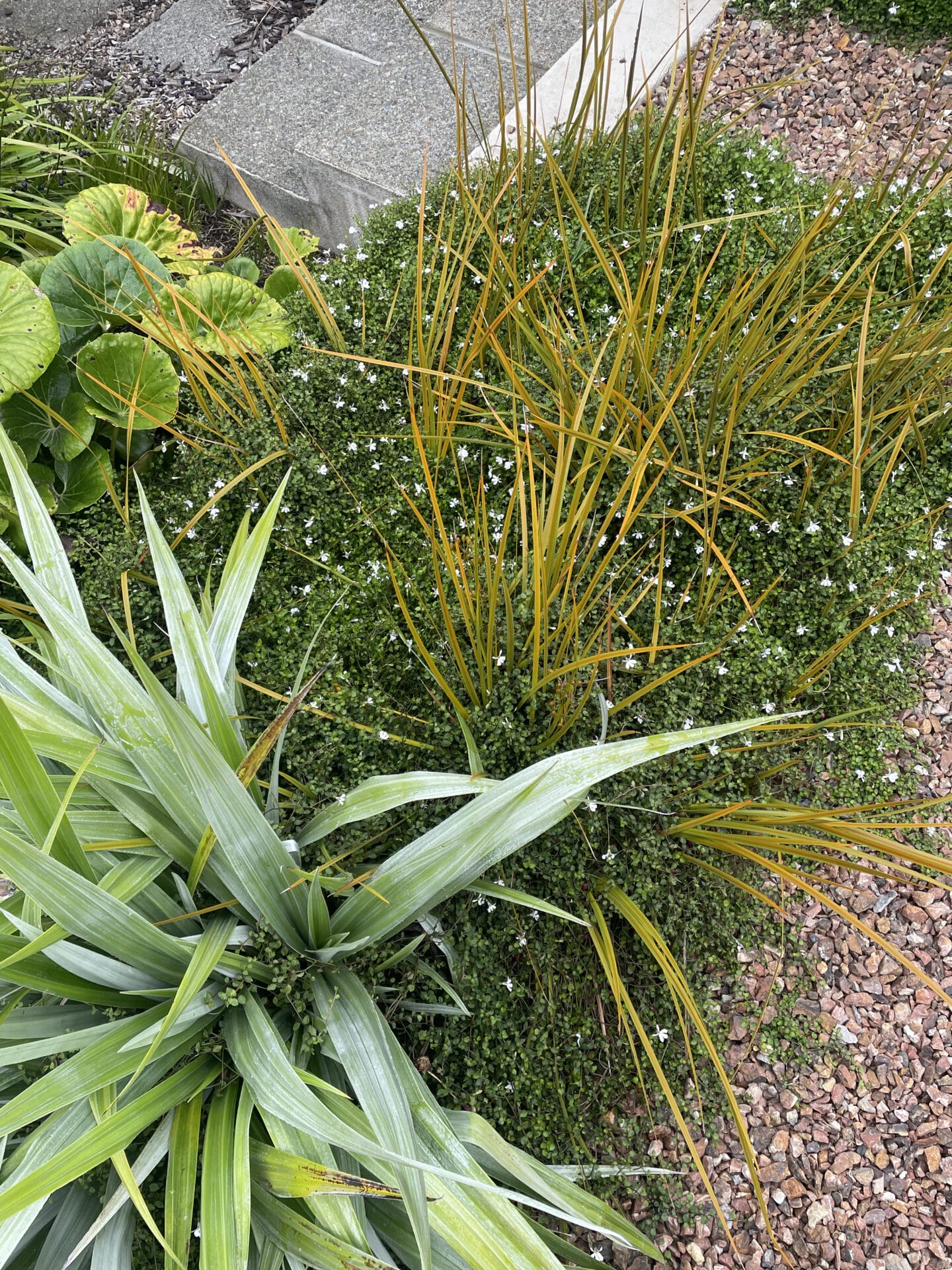 Botanic Landscape Architects