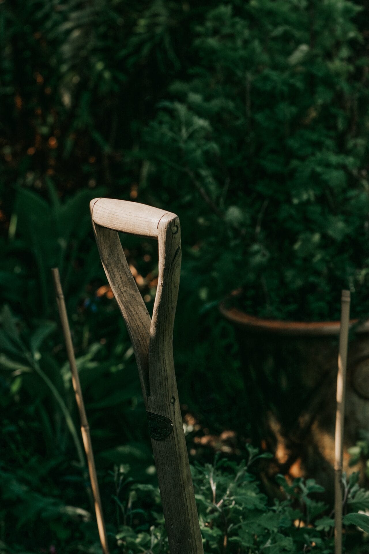 October gardening guide - garden task list