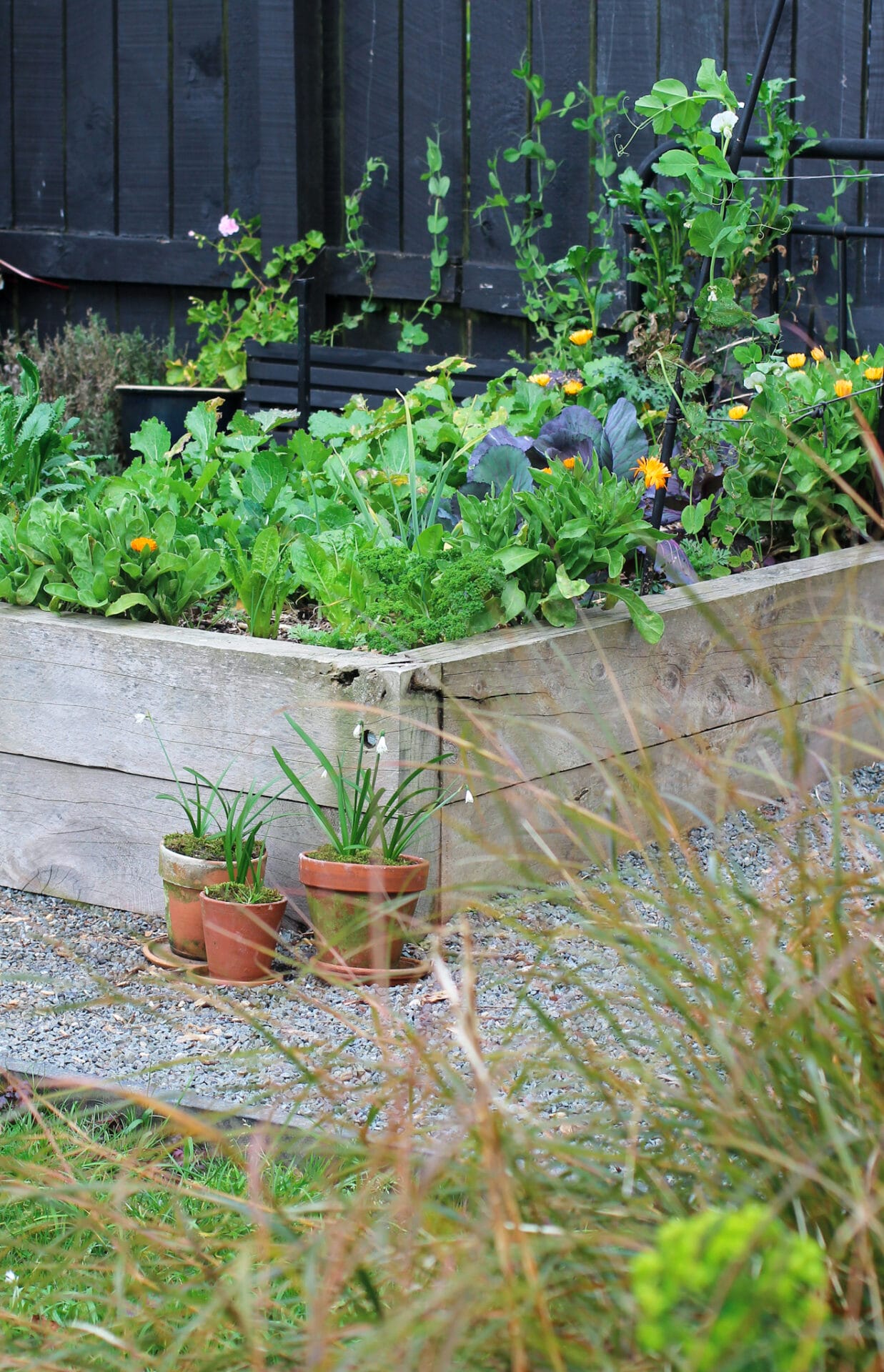 Sowing Summer Crops