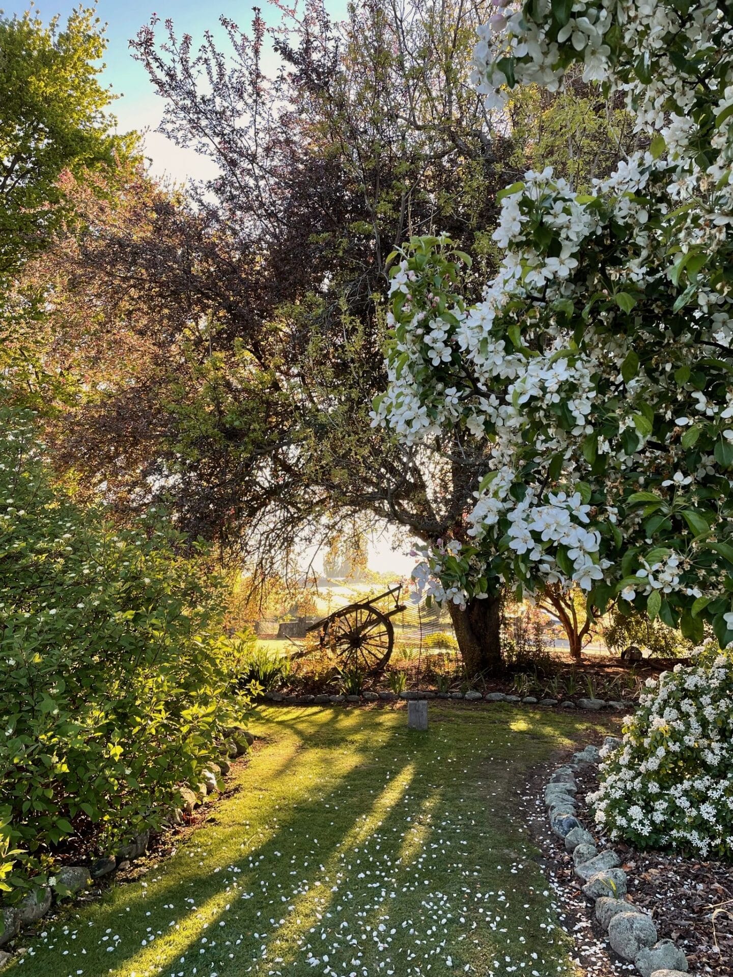 Ali Soper Secret Garden Ali Soper Secret Garden
