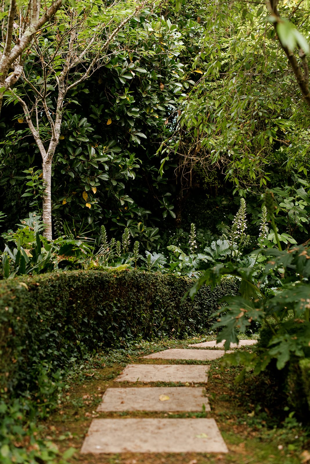 Garden pathway Garden pathway