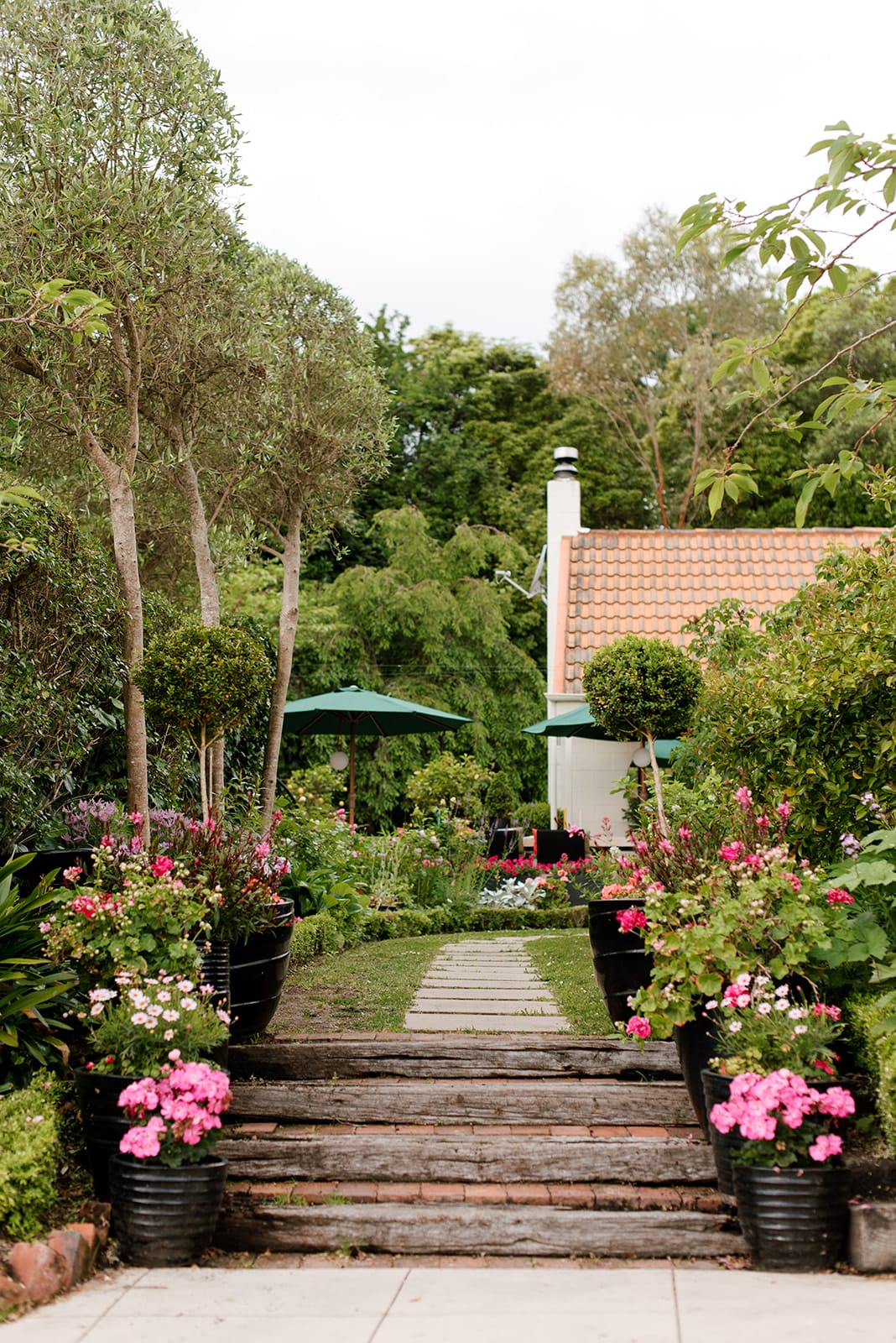 Glossy black pots filled with colourful plants Glossy black pots filled with colourful plants