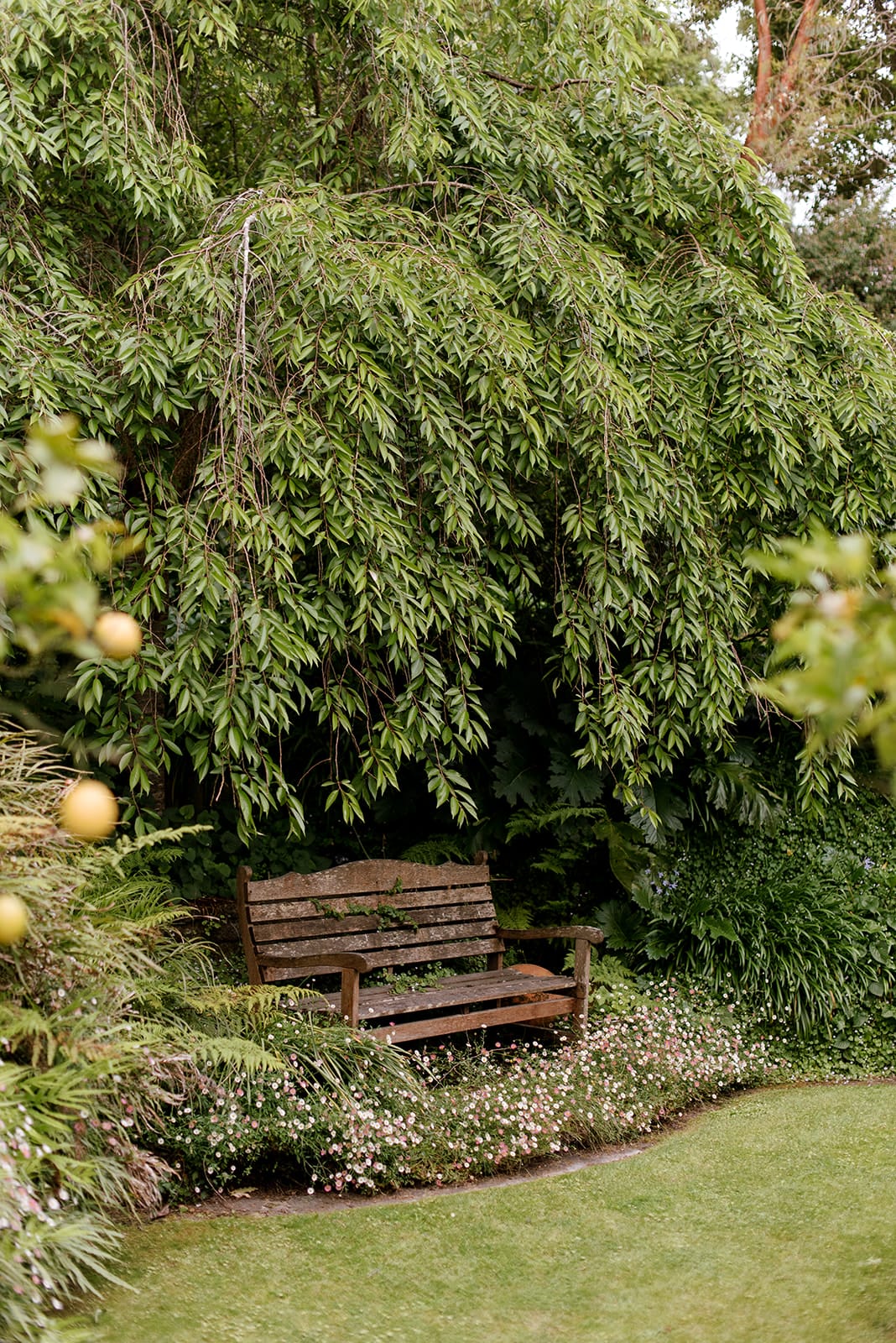 Seating in garden