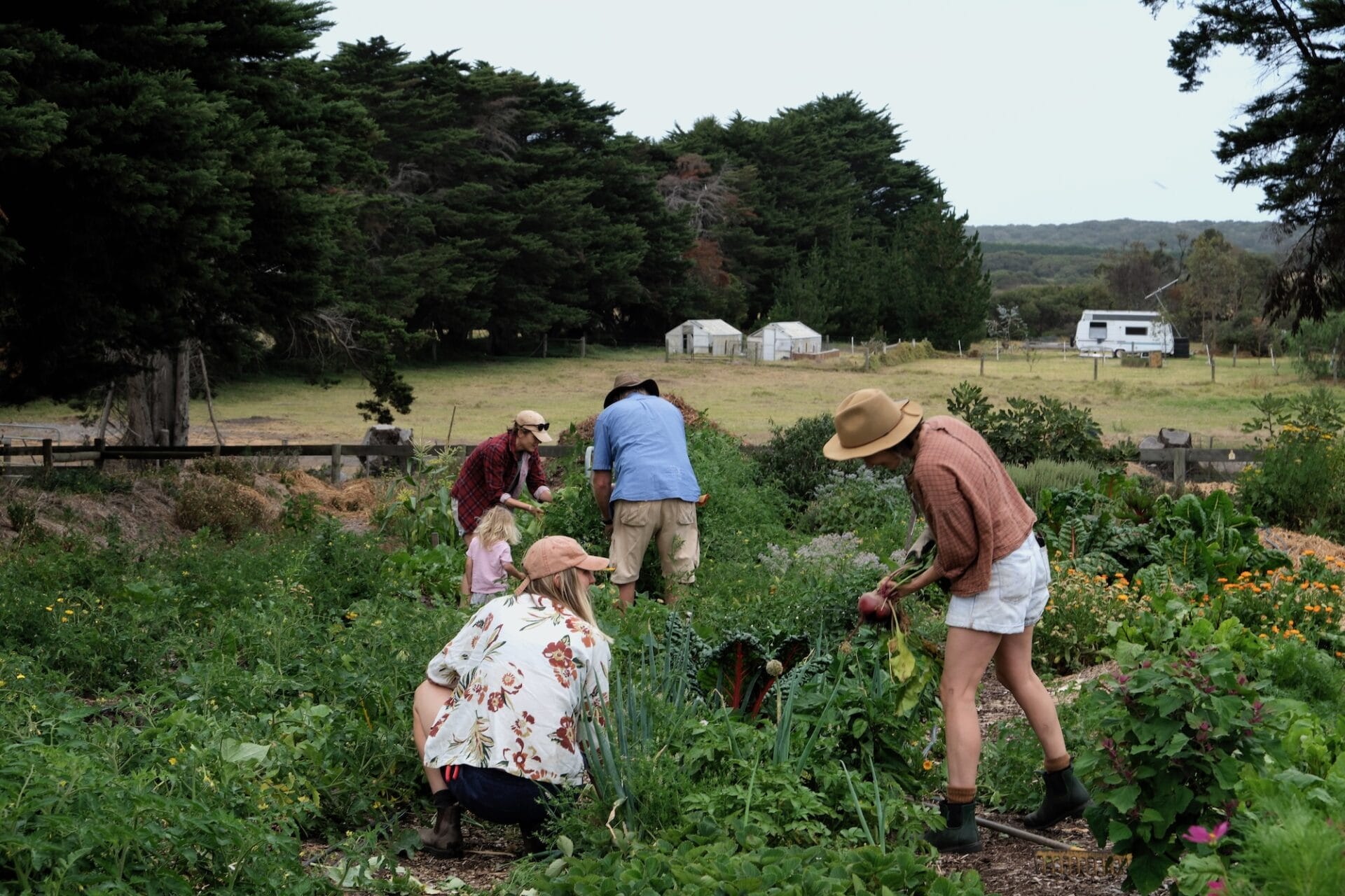 Ben Shaw Permaculture Ben Shaw Permaculture