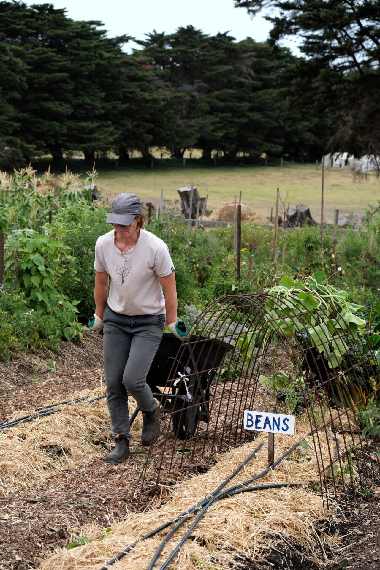 Ben Shaw Permaculture Ben Shaw Permaculture