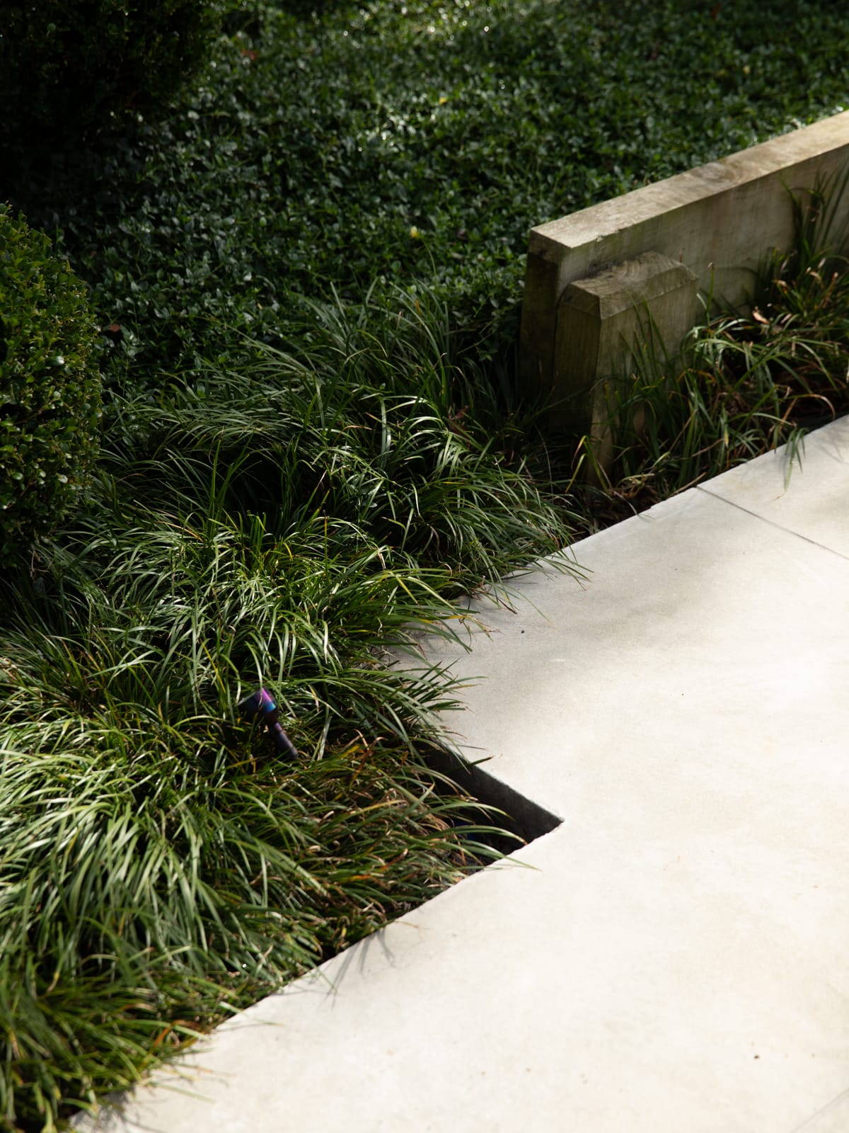 Outdoor Design Studios Ltd. Outdoor Design Studios Ltd.