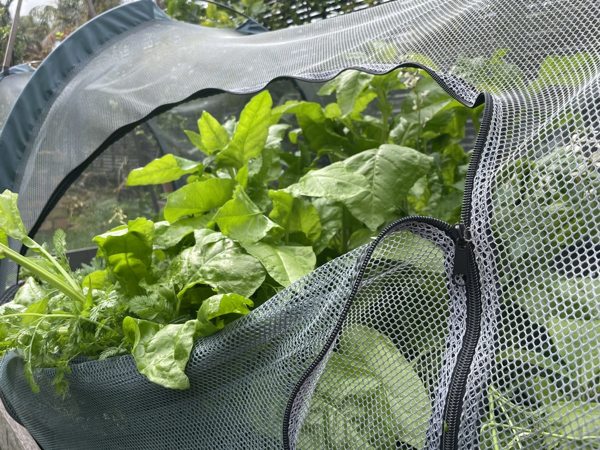 Gubba Garden Store