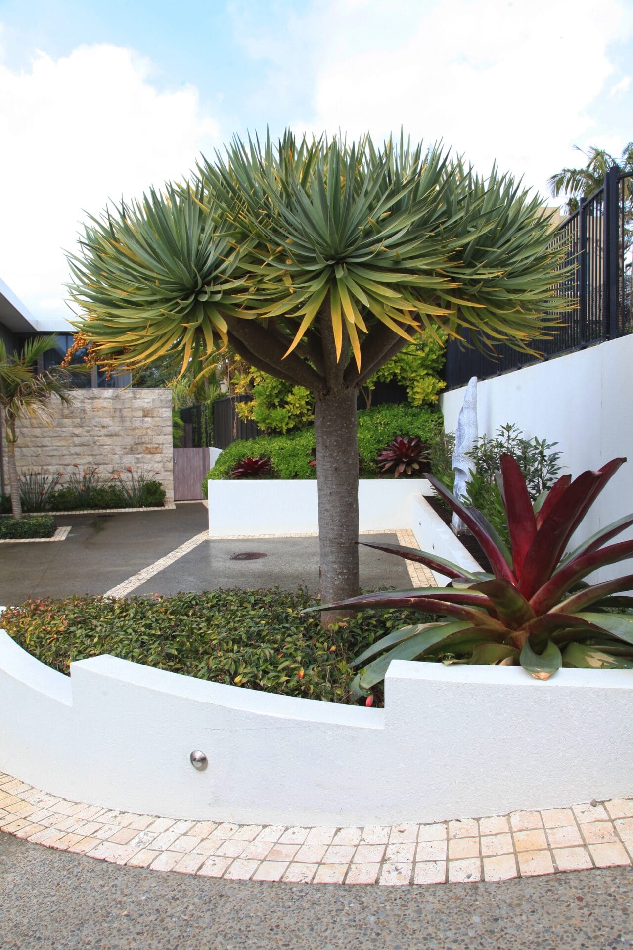 Sculpt Gardens - Auckland Garden Designfest Sculpt Gardens - Auckland Garden Designfest