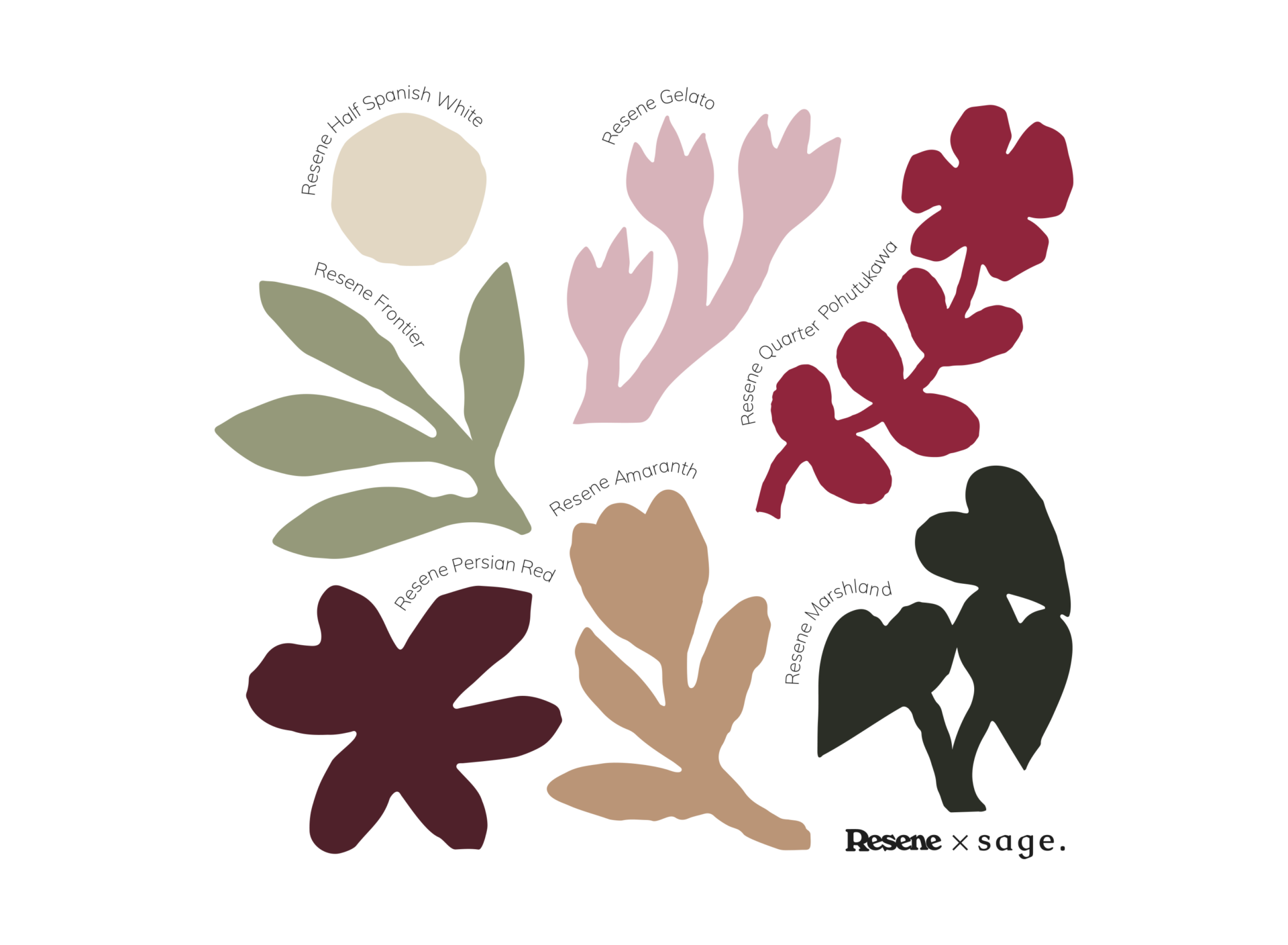 Sage_Resene_TransparentBG_1b