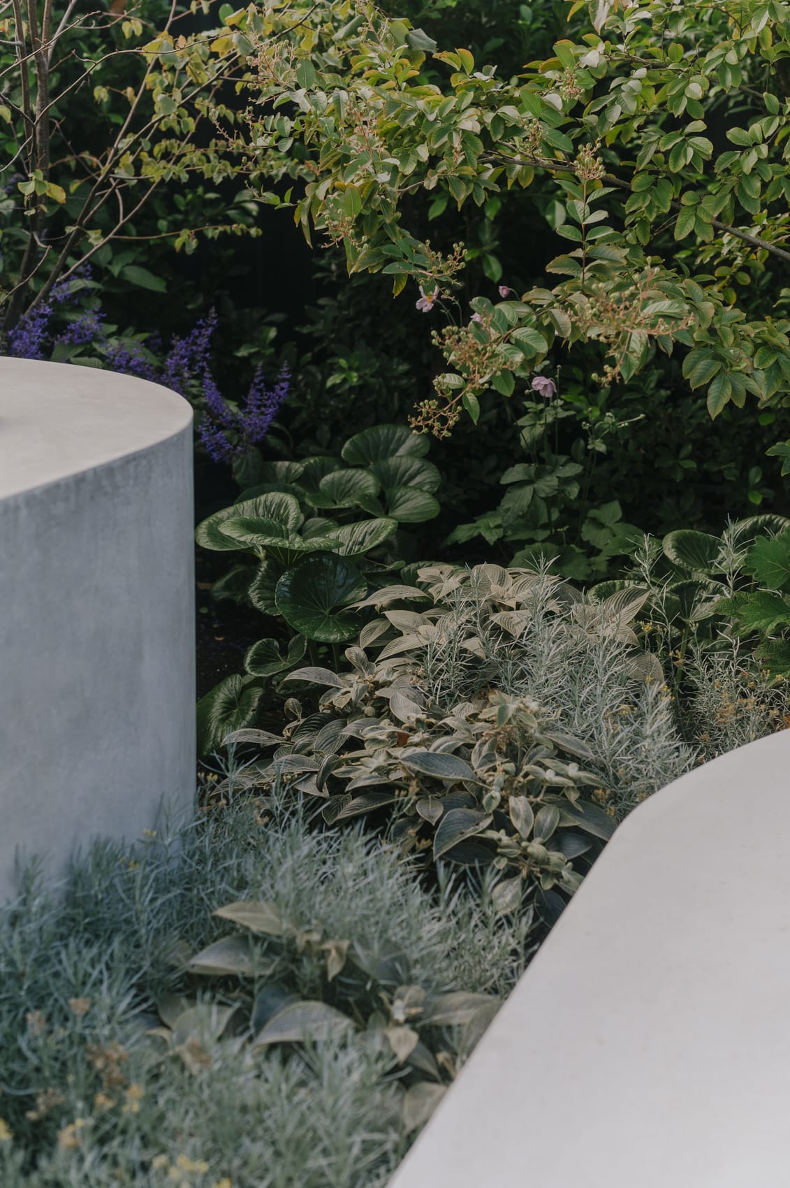 Xavier Street - Peachy Green Landscape Design - Sarah Pannell photography Peachy Green Landscape Design - Sarah Pannell photography