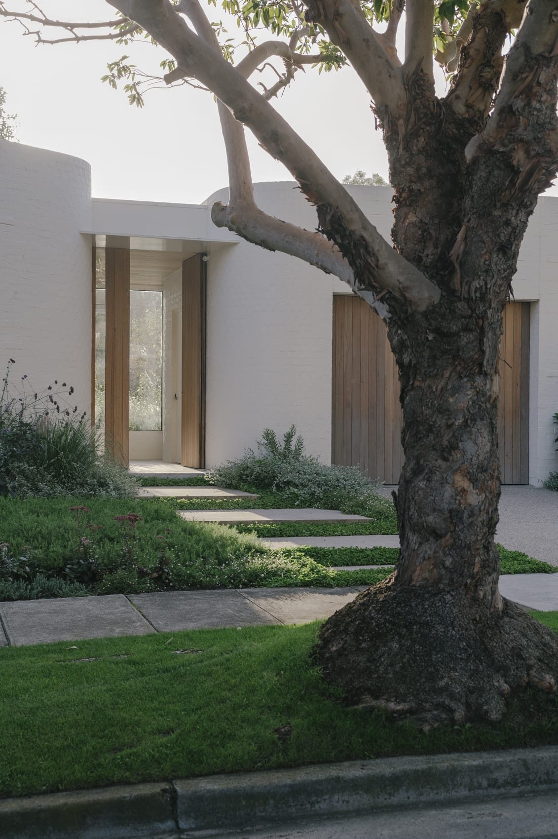 Xavier Street - Peachy Green Landscape Design - Sarah Pannell photography Peachy Green Landscape Design - Sarah Pannell photography