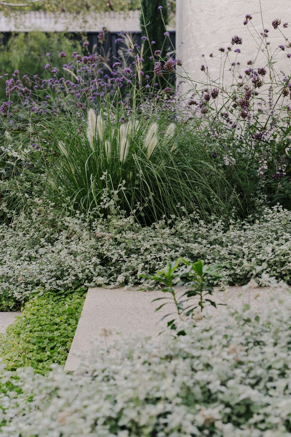 Xavier Street - Peachy Green Landscape Design - Sarah Pannell photography Peachy Green Landscape Design - Sarah Pannell photography